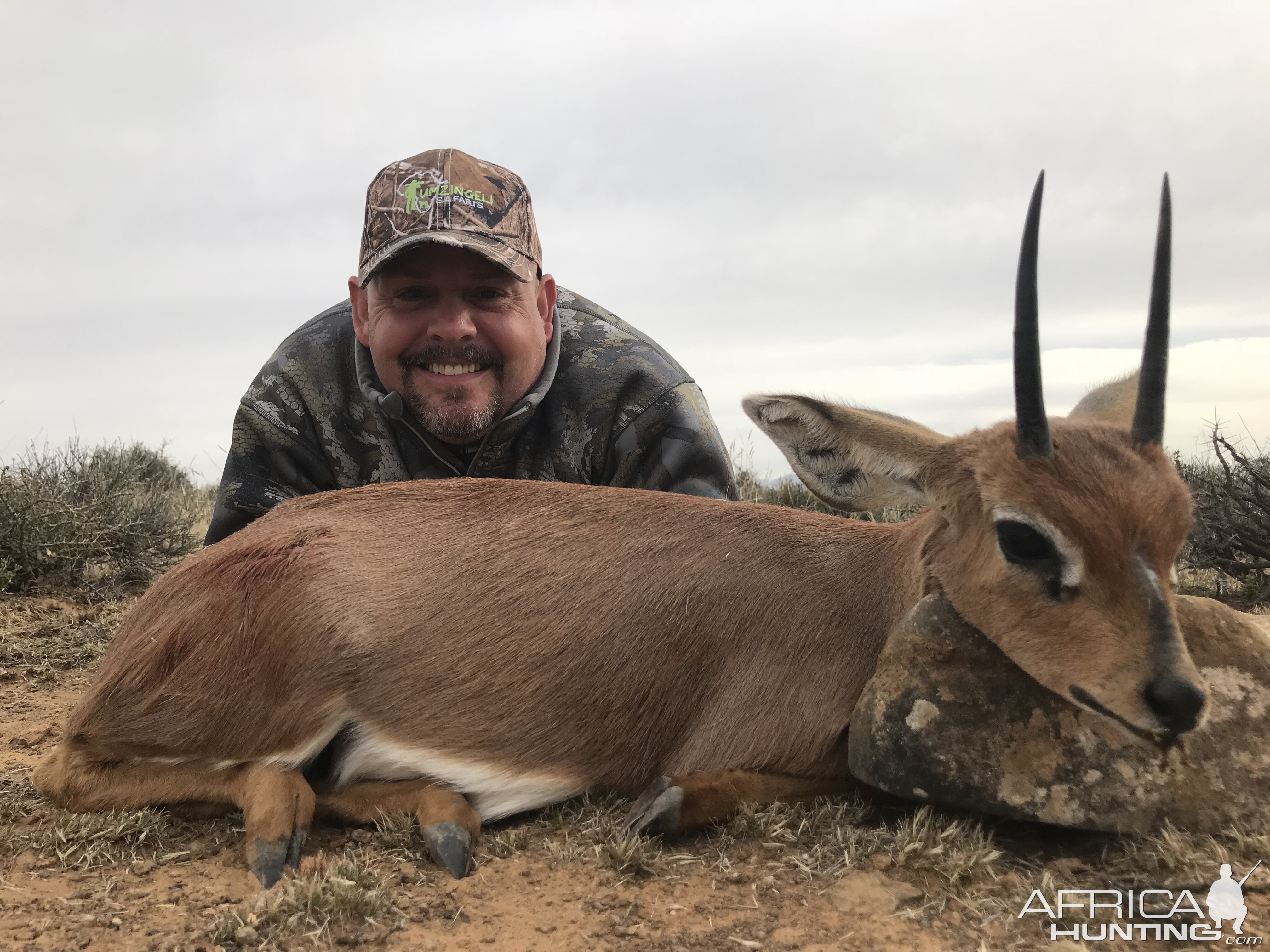 Steenbok Hunting South Africa