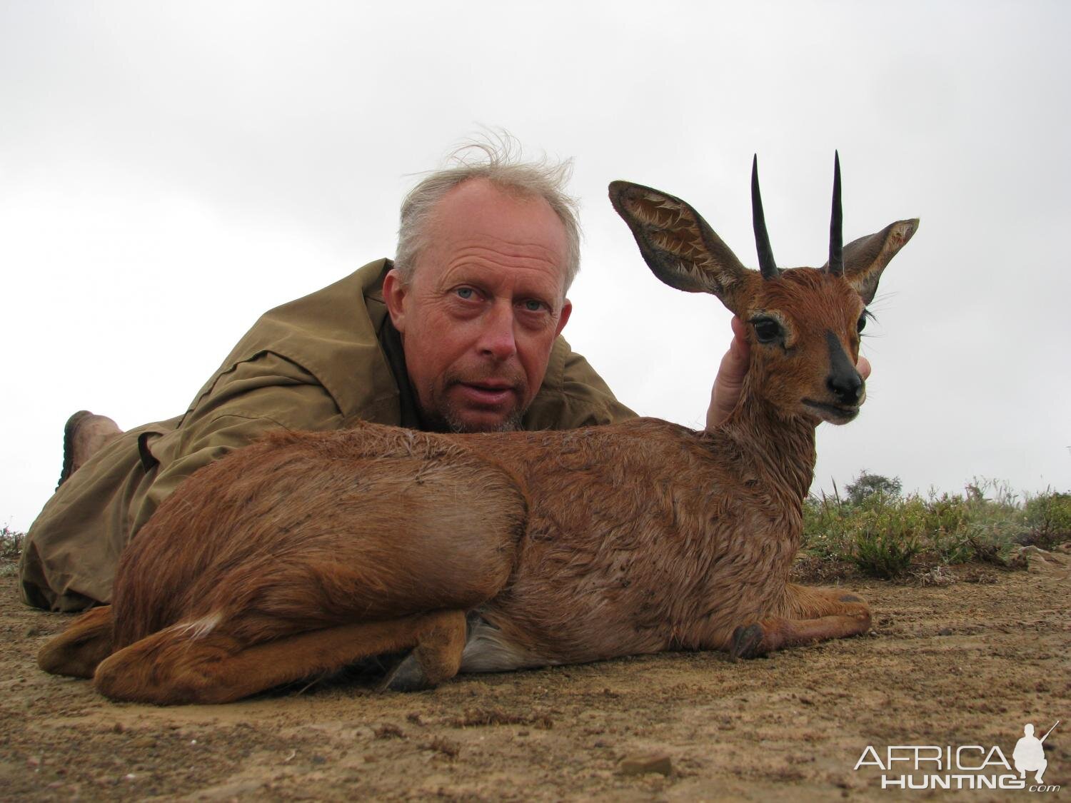 Steenbok Hunting South Africa