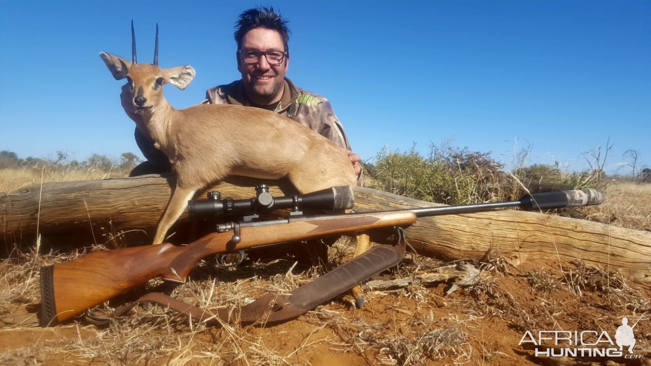 Steenbok Hunting South Africa