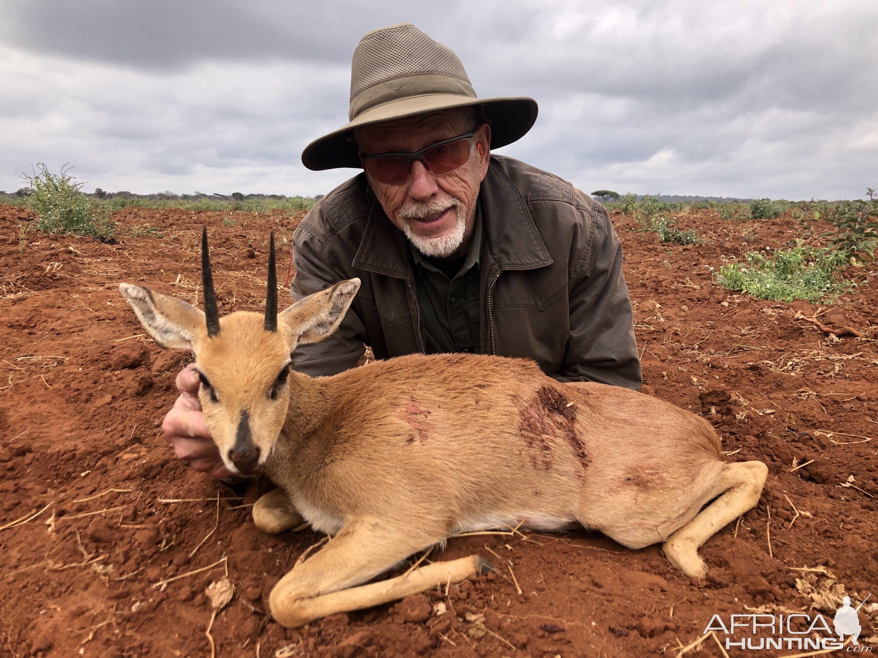 Steenbok Hunting Tanzania