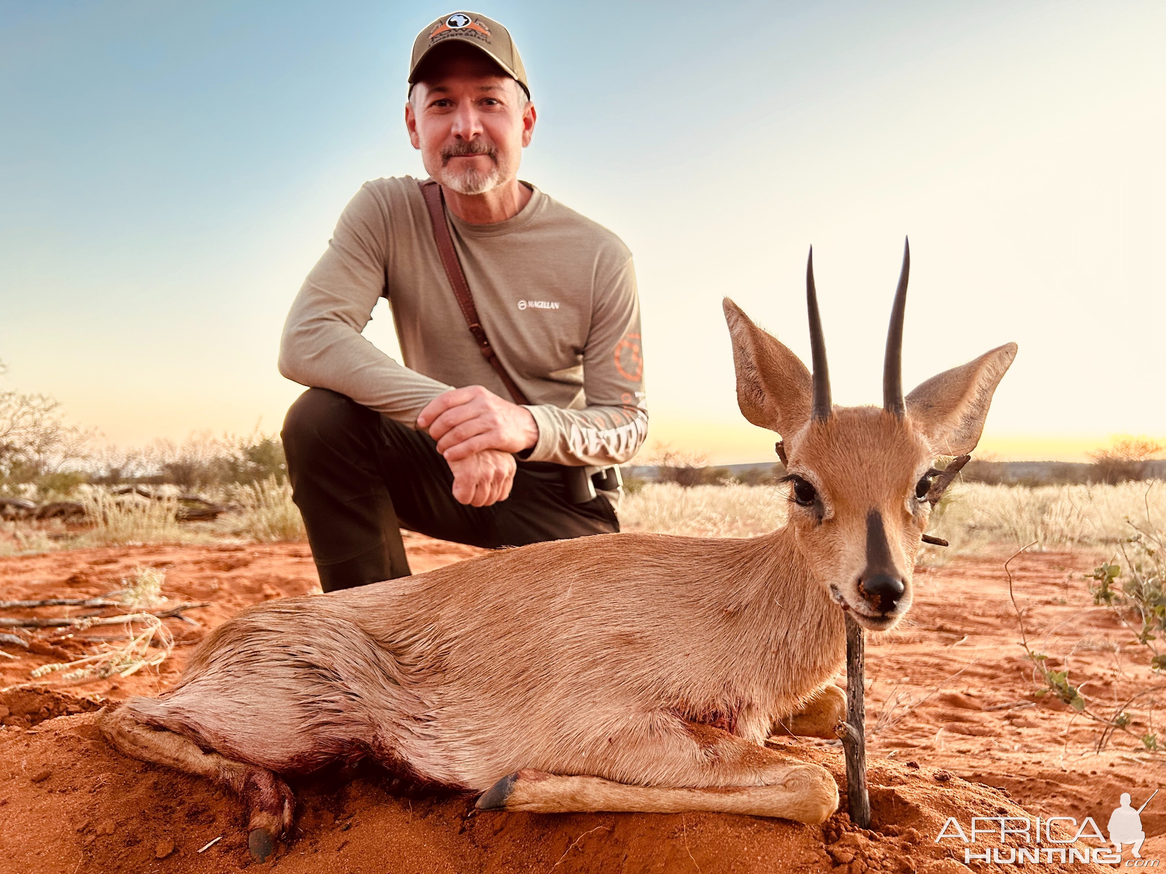 Steenbok Hunting