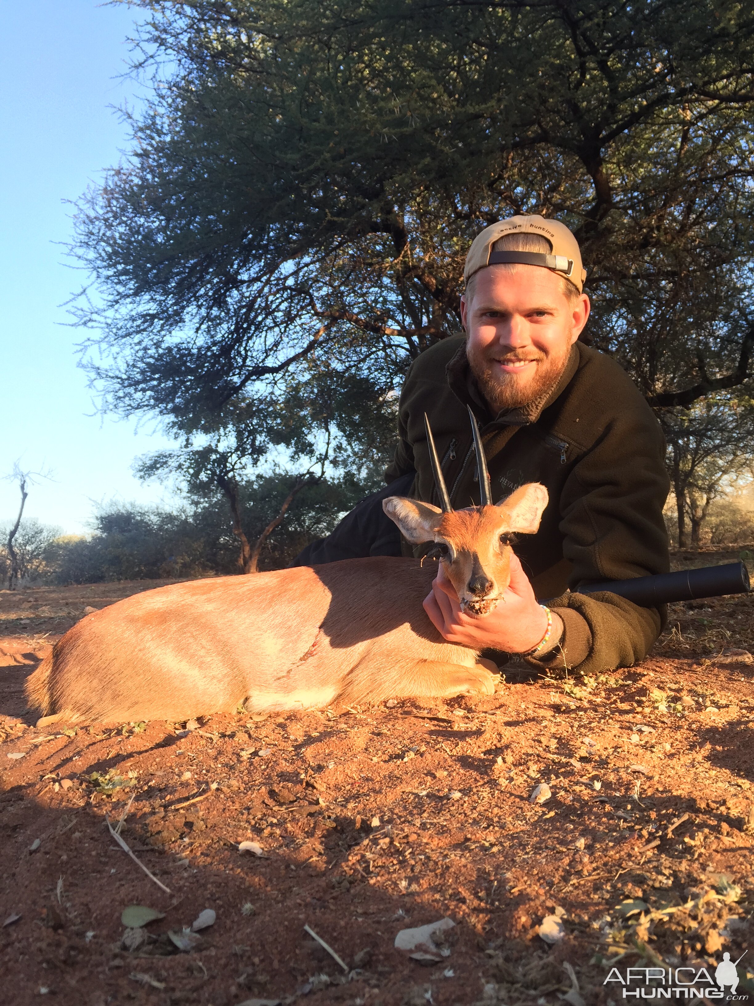 Steenbok Hunting