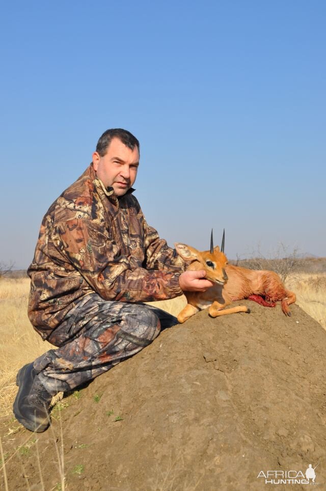 Steenbok Namibia Hunt