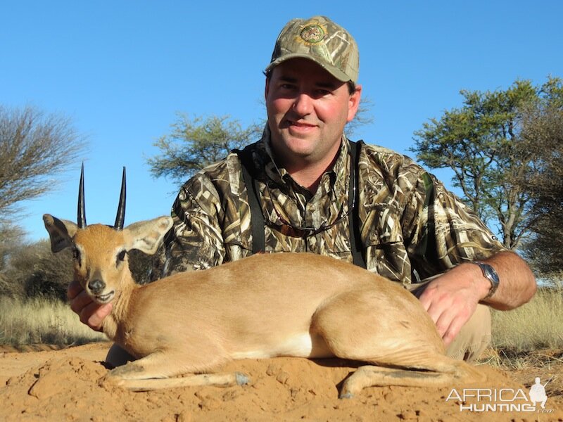 Steenbok Namibia Hunt