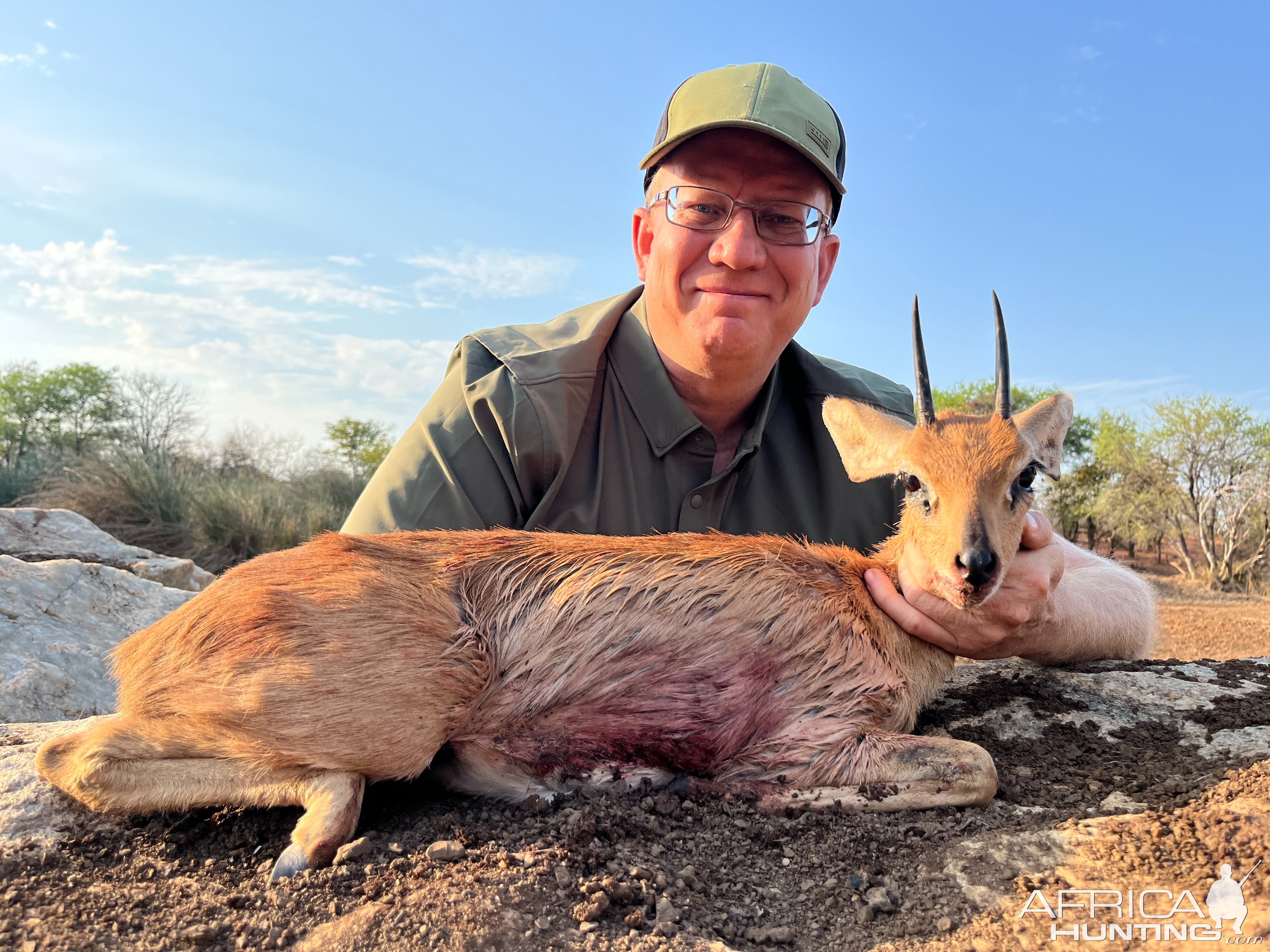 Steenbok South Africa Hunt