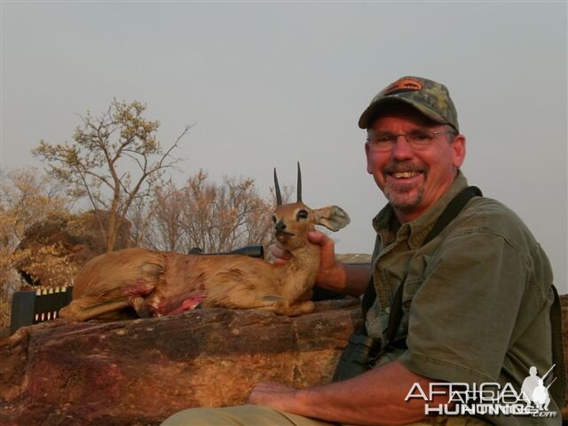 Steenbok