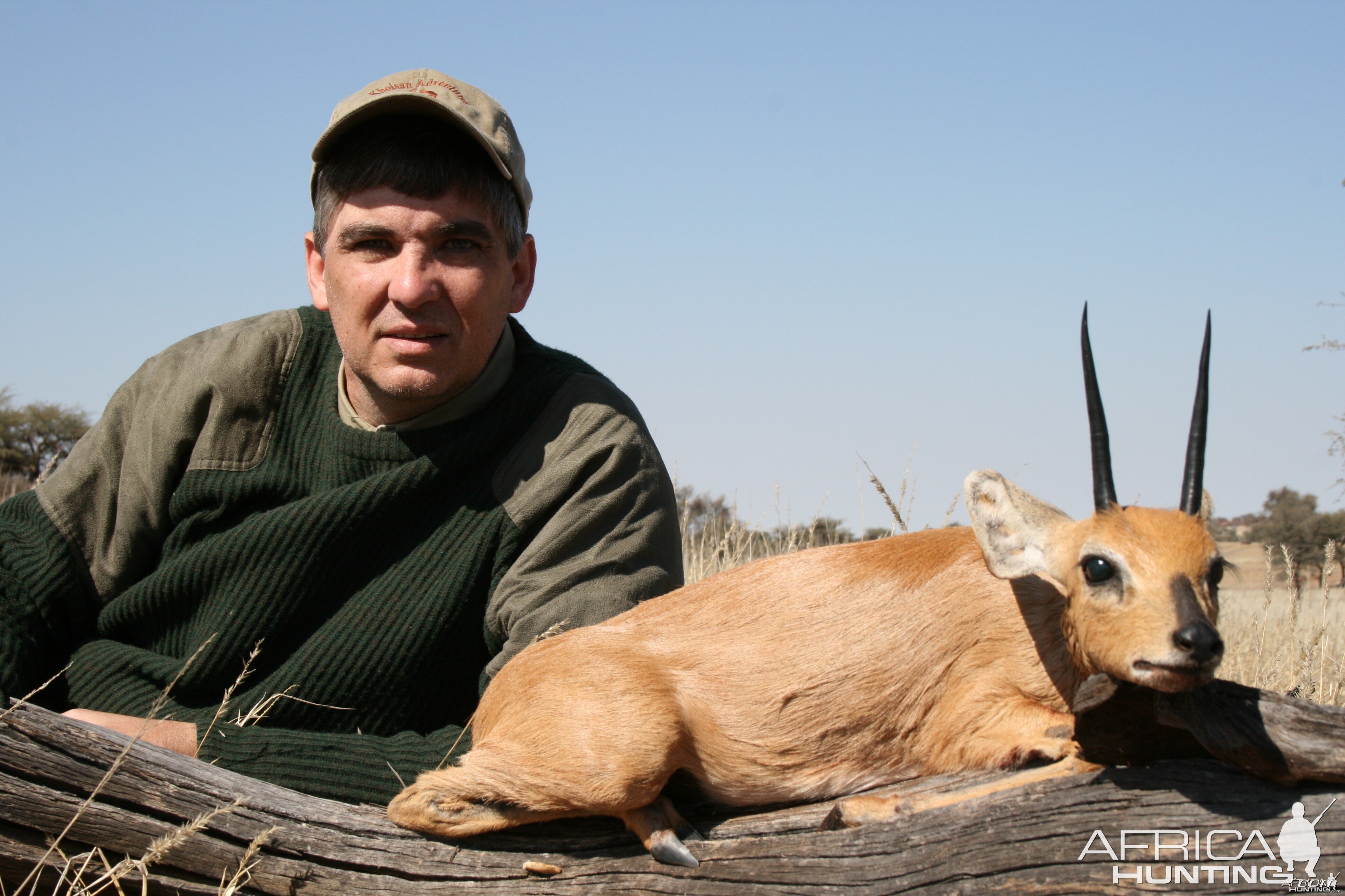 Steenbok