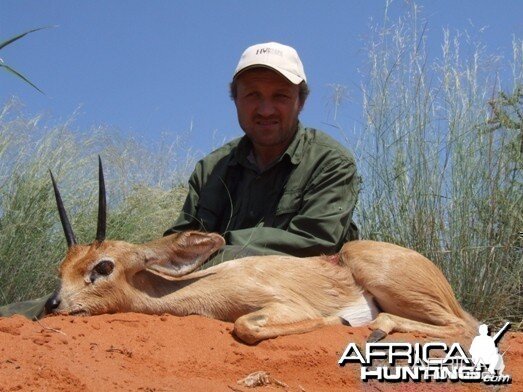 Steenbok