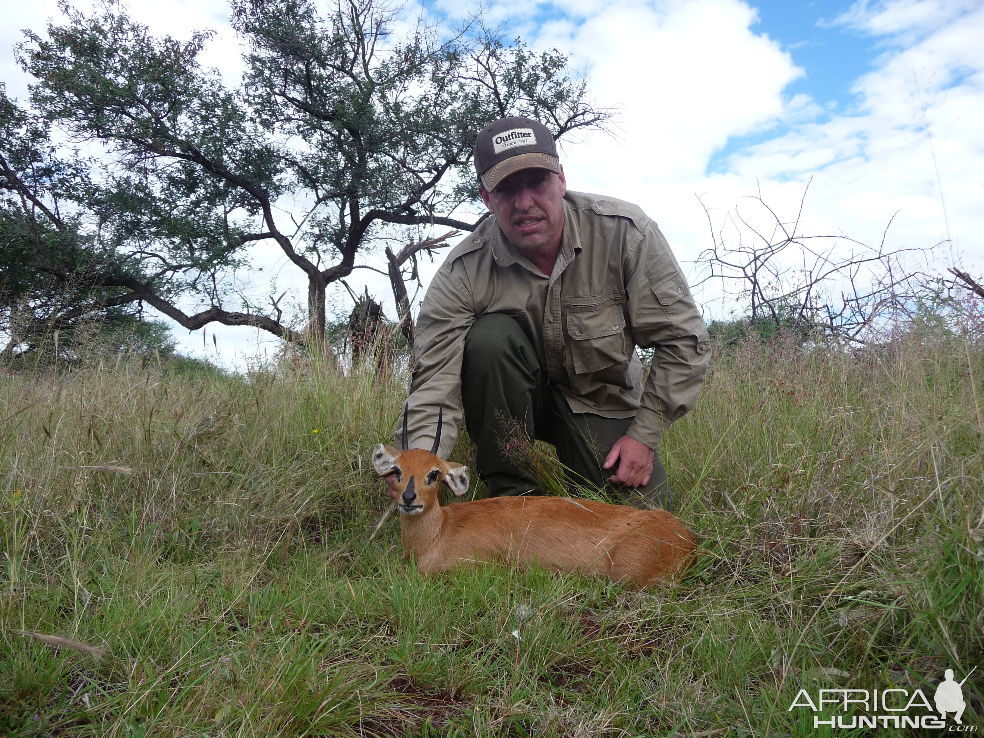 Steenbok