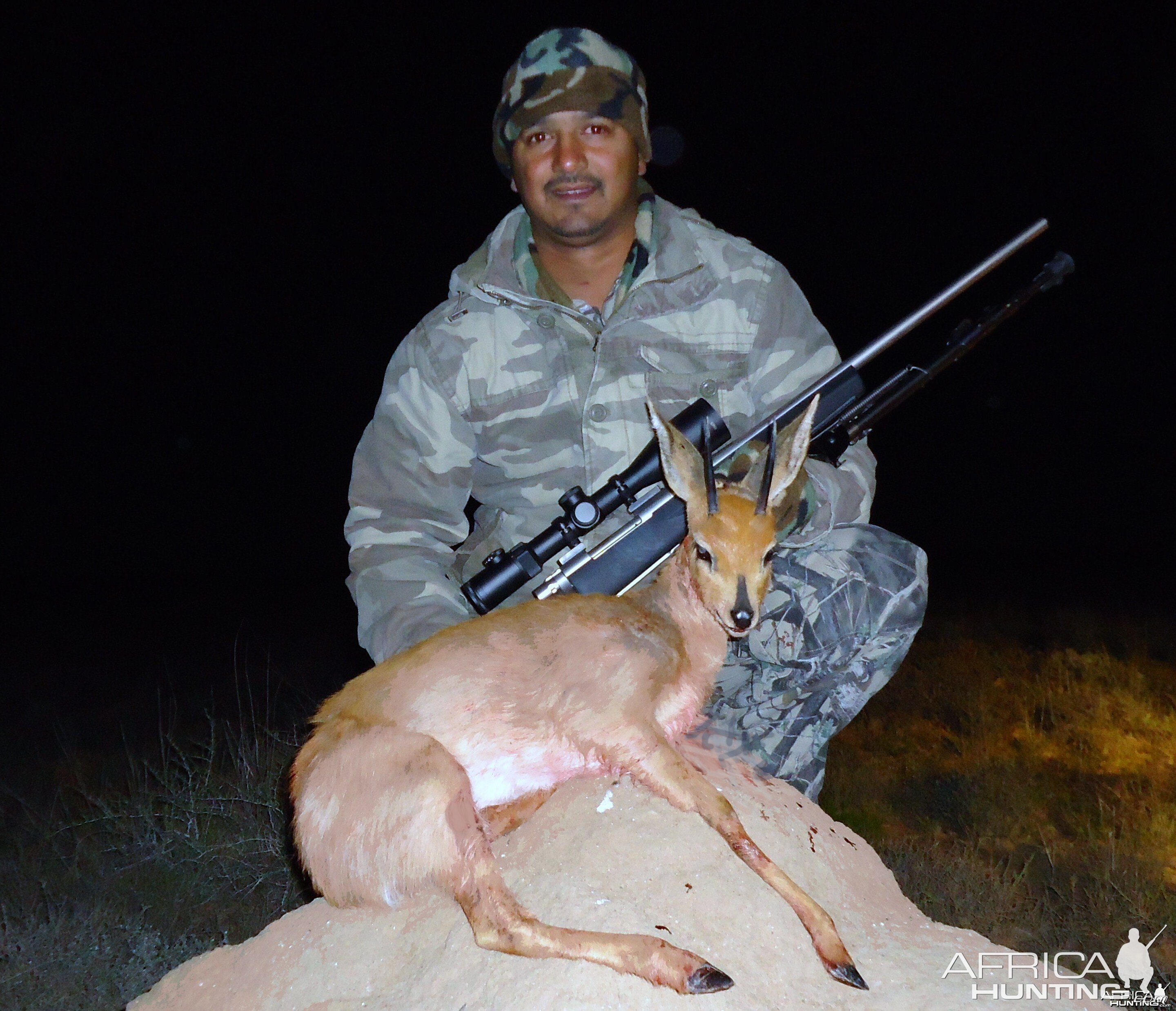 Steenbok