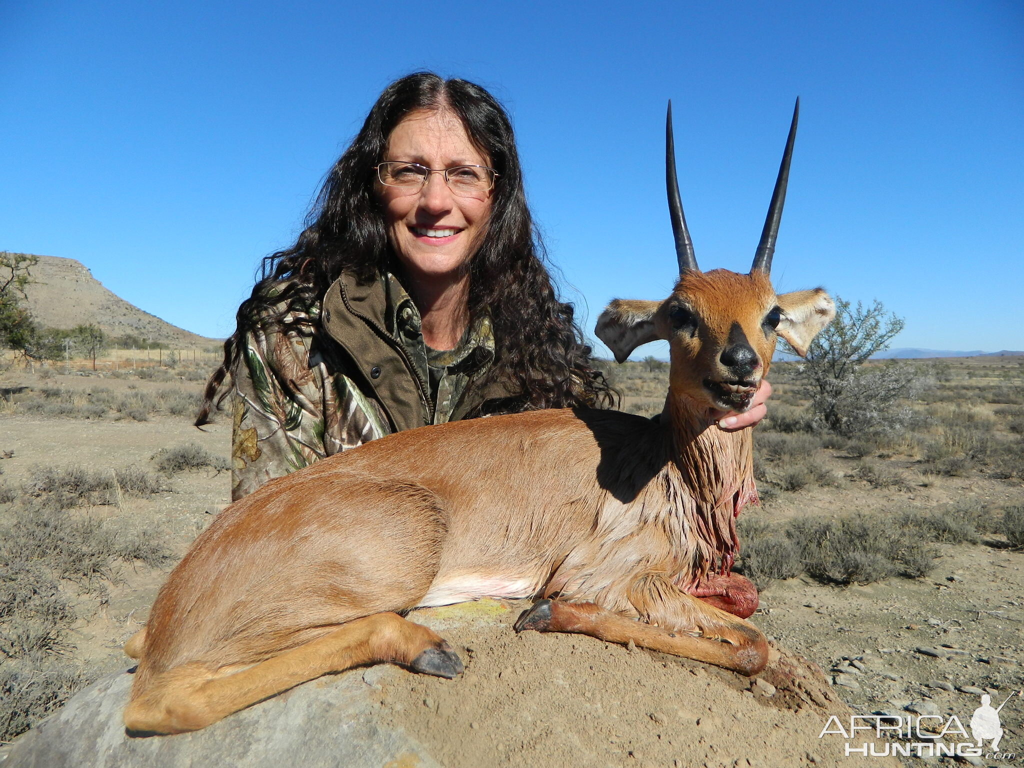 Steenbok