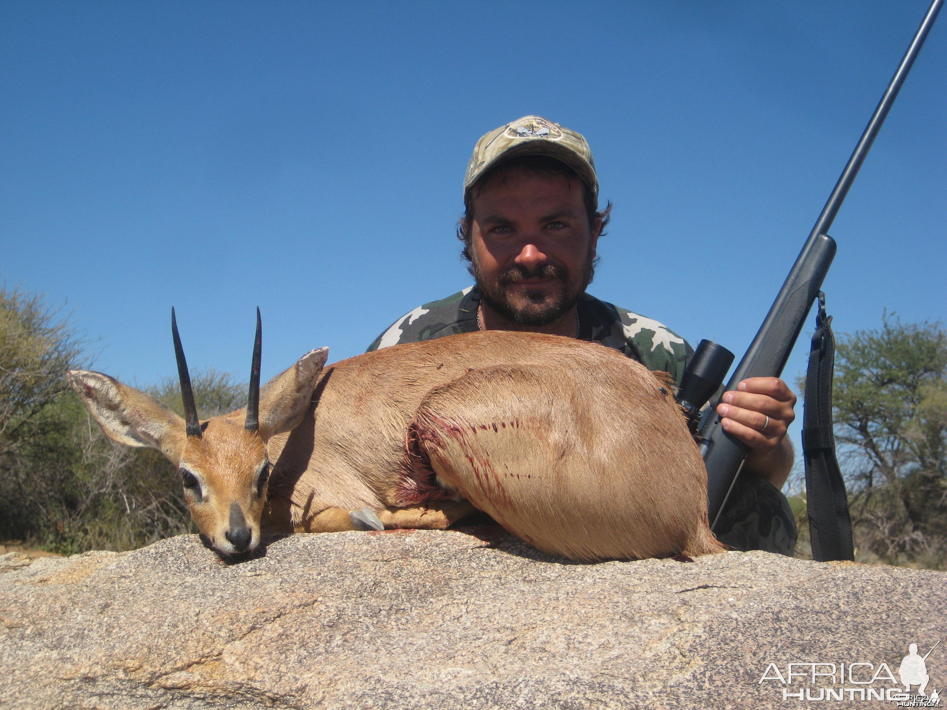 Steenbok