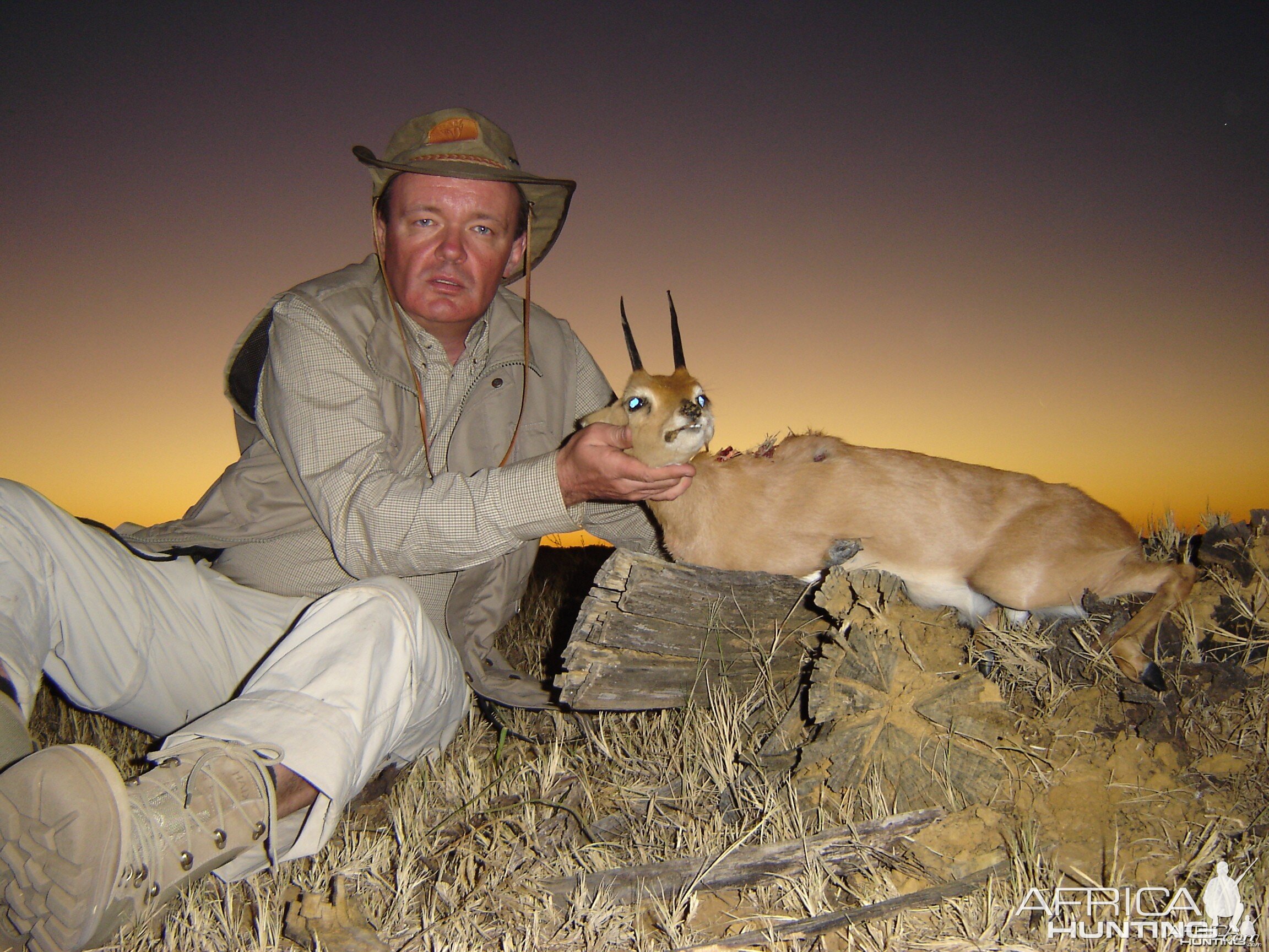 Steenbok