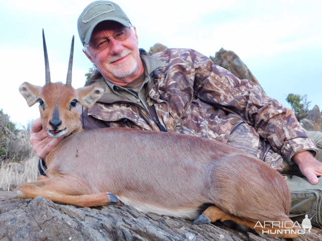 Steenbok