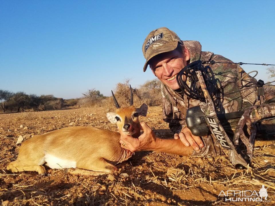 Steenbok