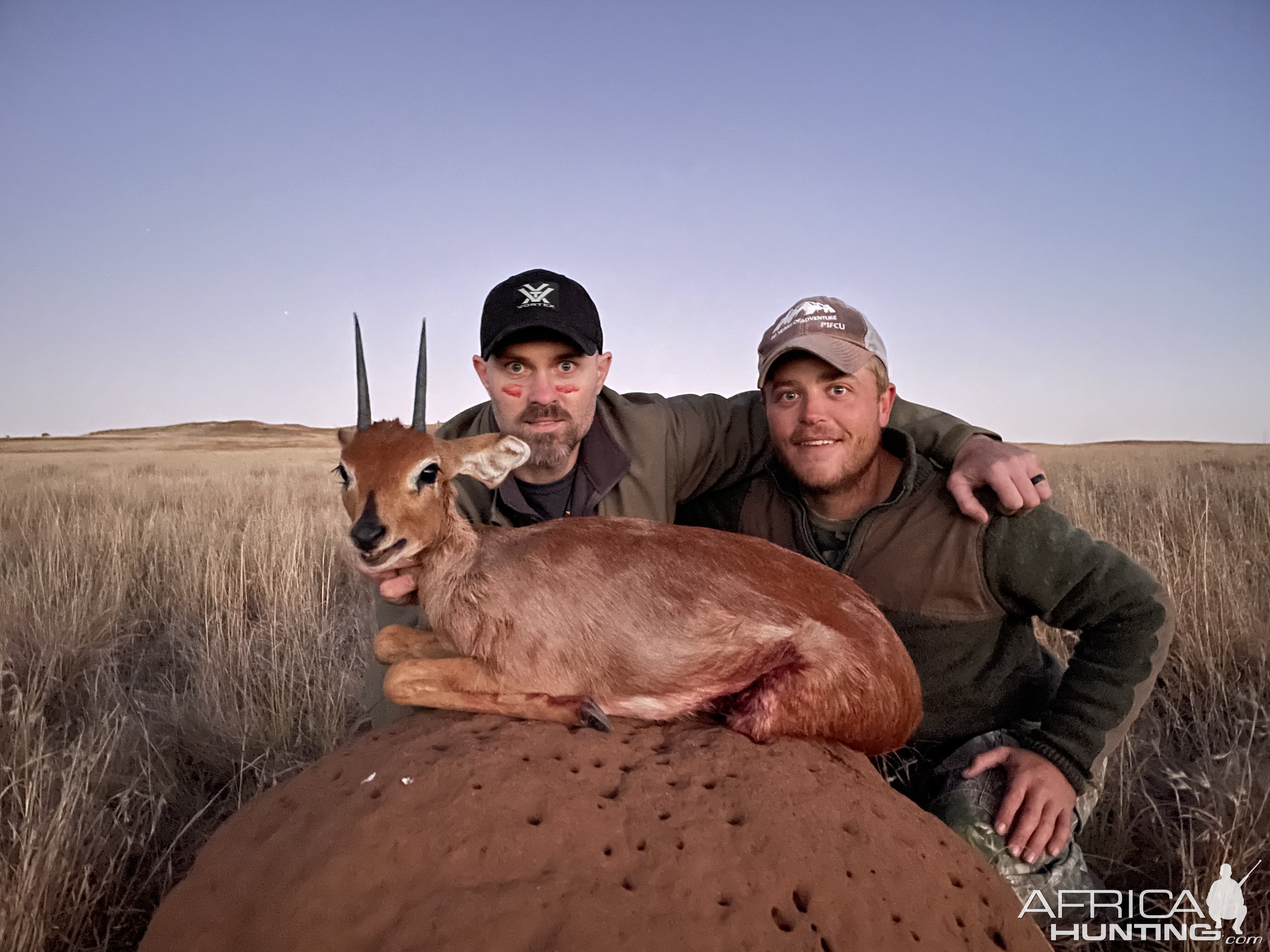 Steenbuck Hunt South Africa