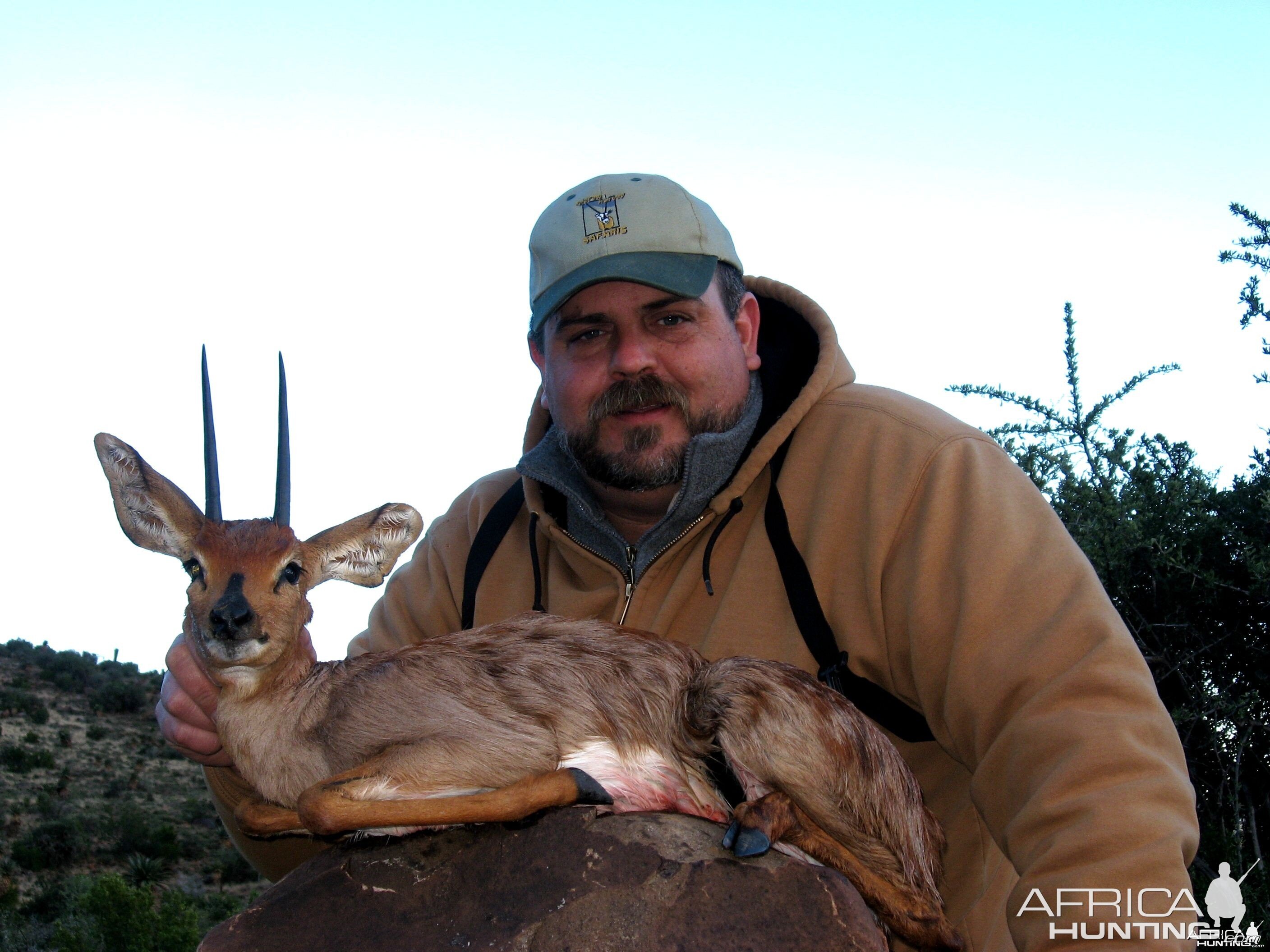 Steenbuck hunted with Andrew Harvey Safaris