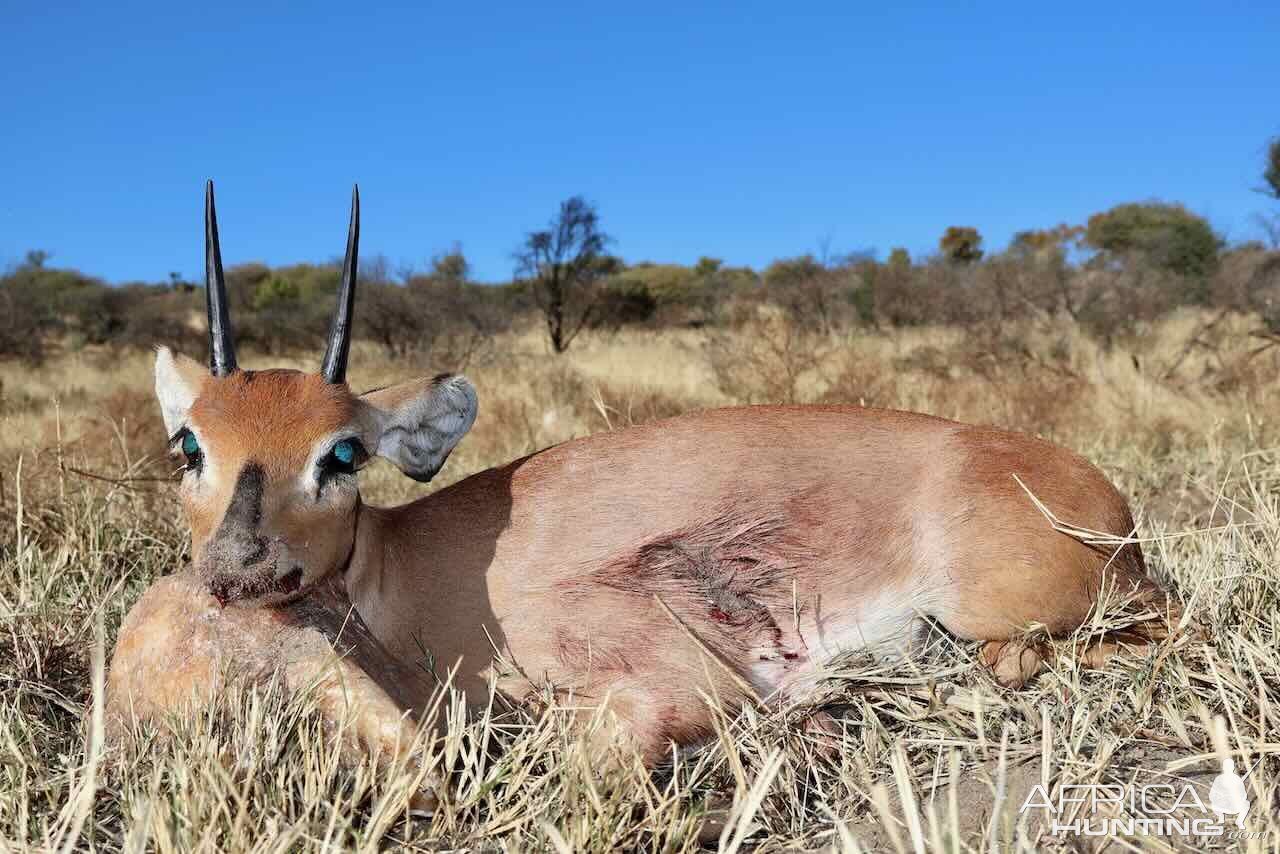 Steenbuck With Zana Botes Sfari