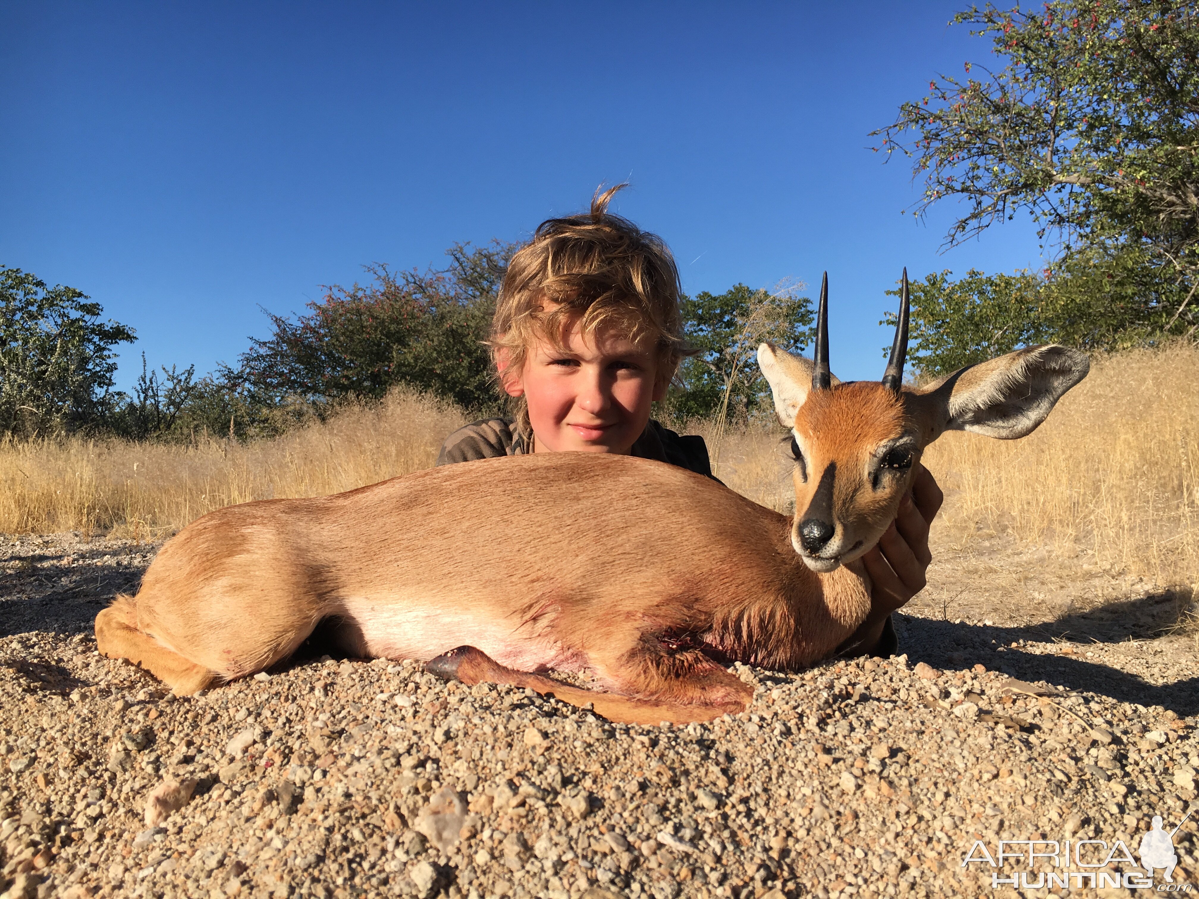 Steenbuck