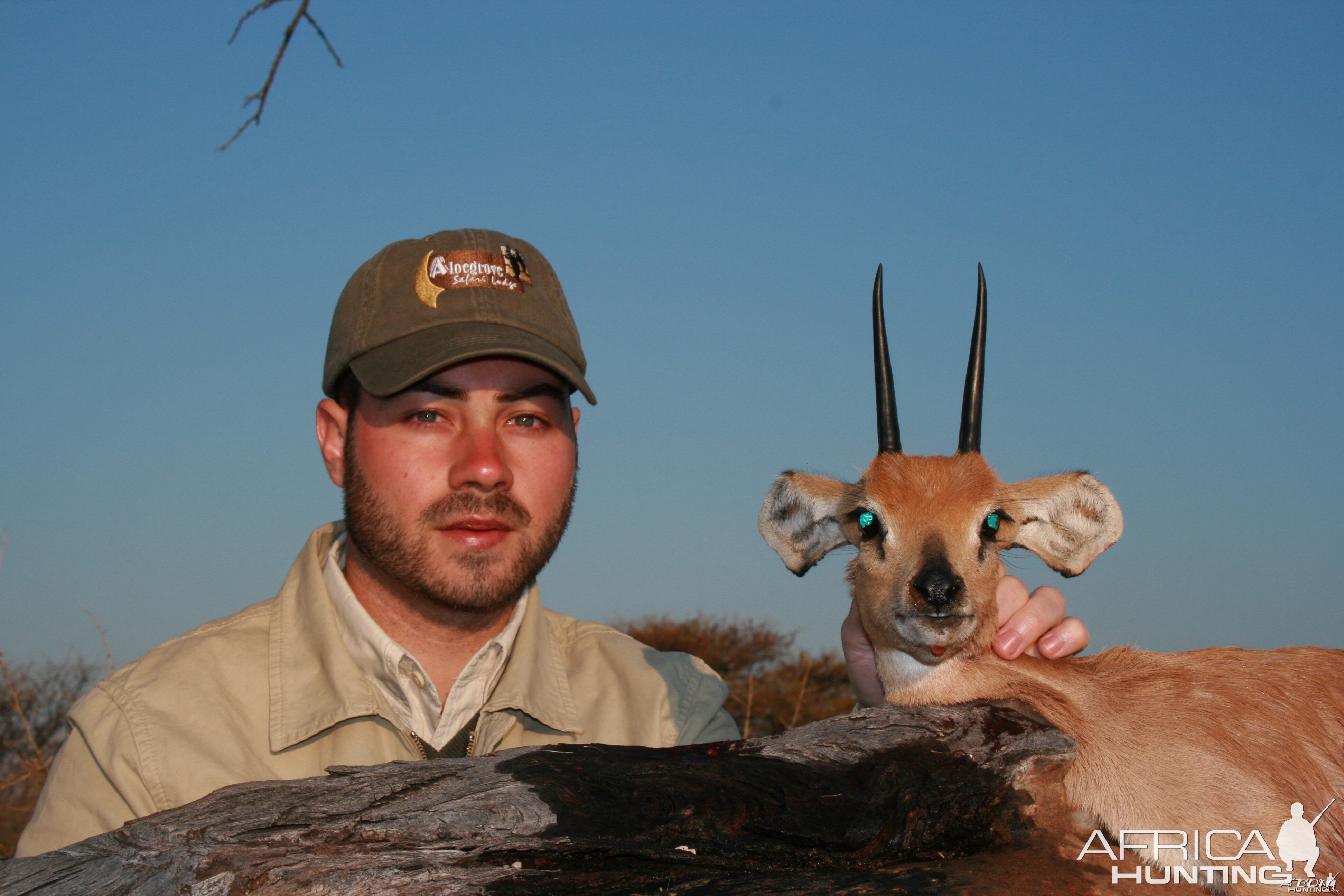 Steenbuck