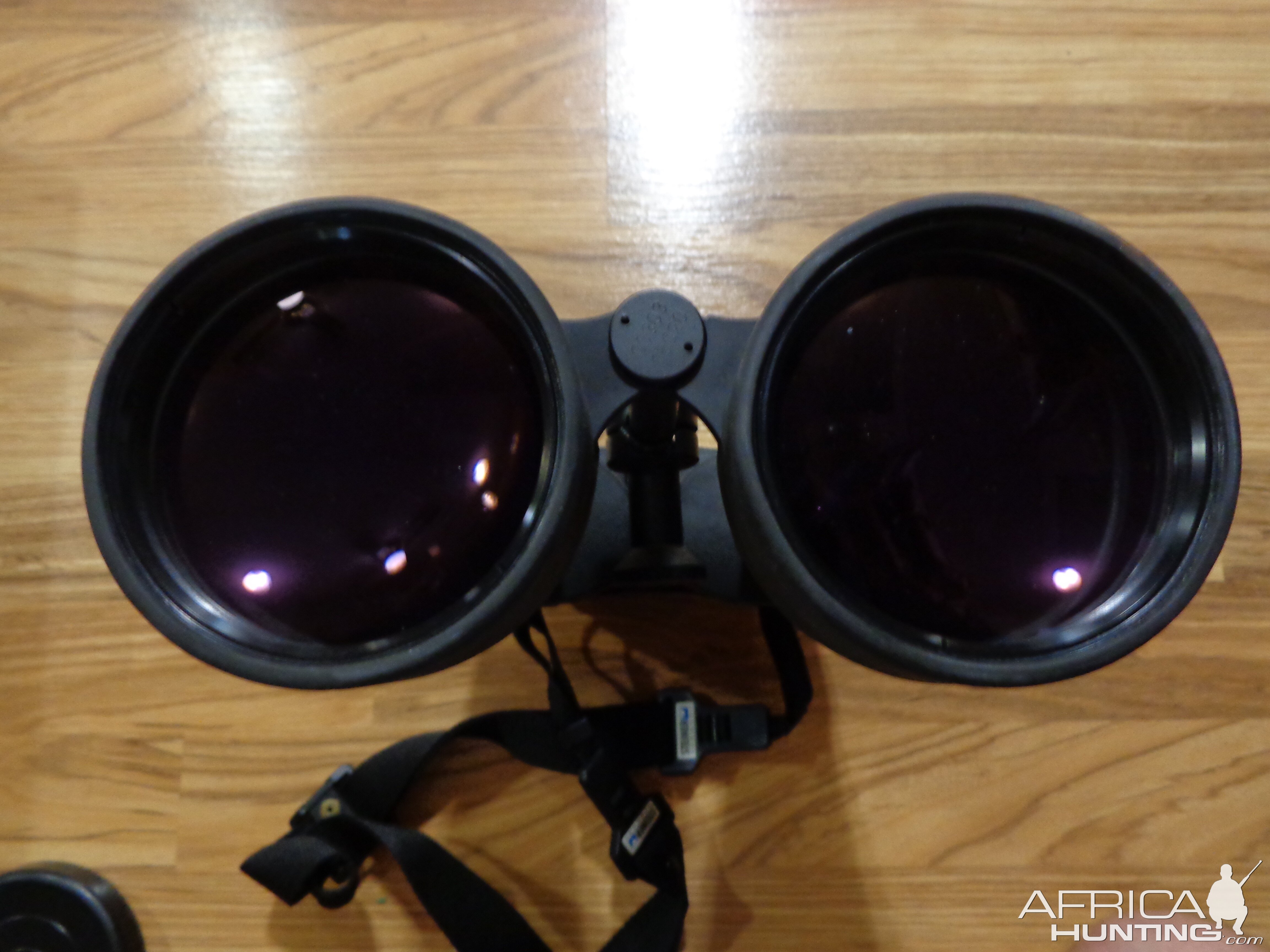 Steiner 20x80 Observer German Made Binocular