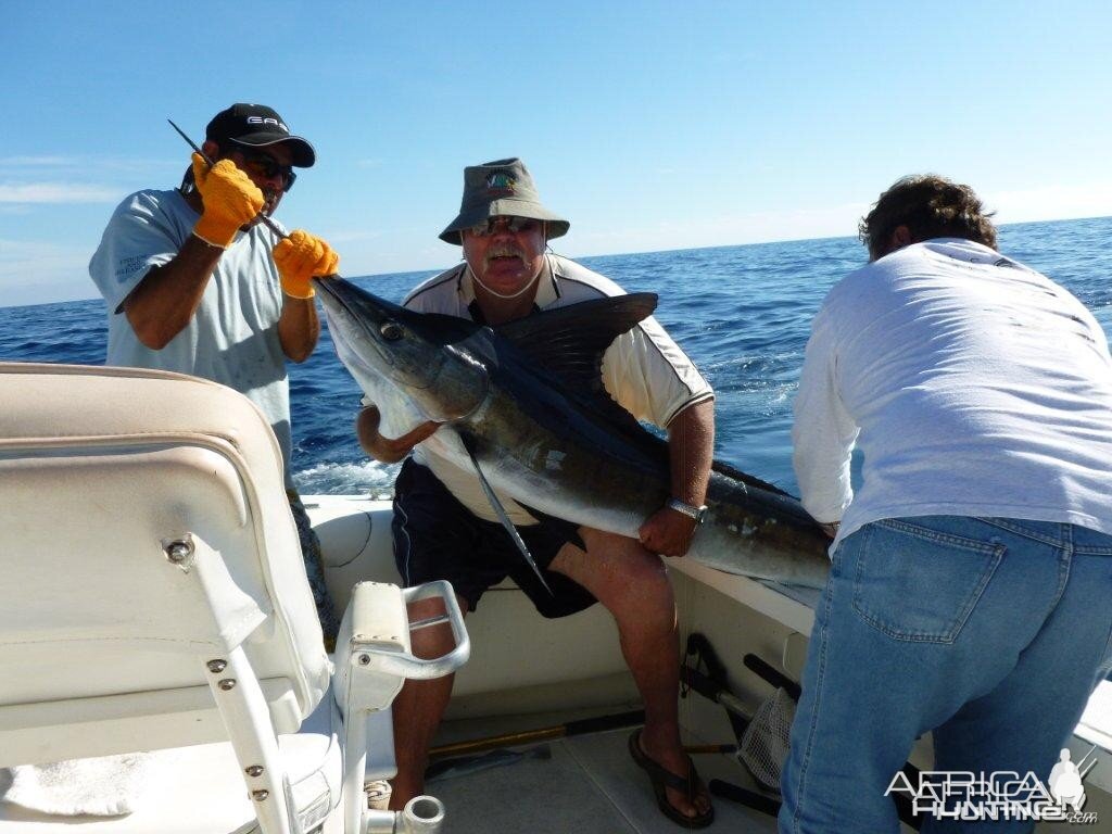 Striped marlin - Cabo, Mexico