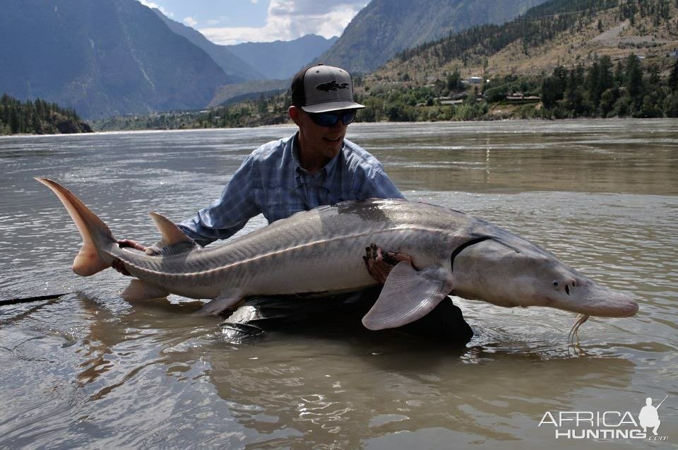 Sturgeon Fishing British Columbia