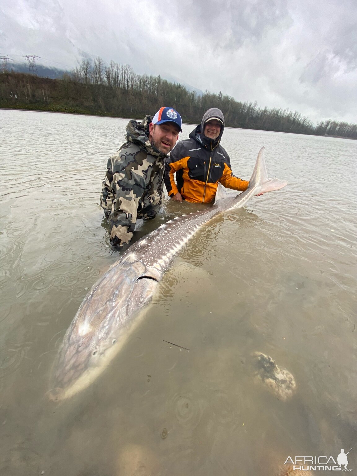 Sturgeon Fishing Canada