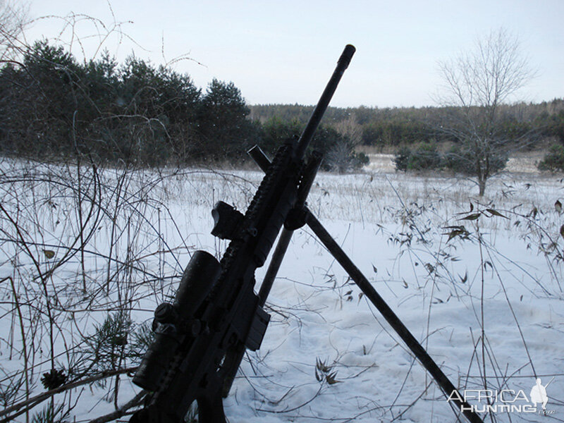 Sub-Zero Coyote Hunt, Southern Ontario