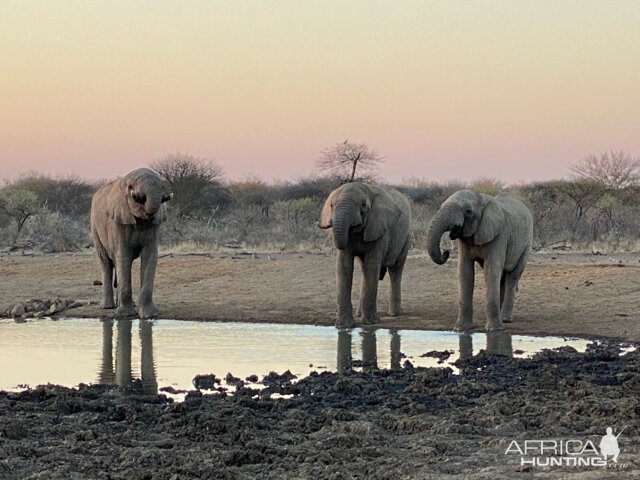 Sun downers with the Giants