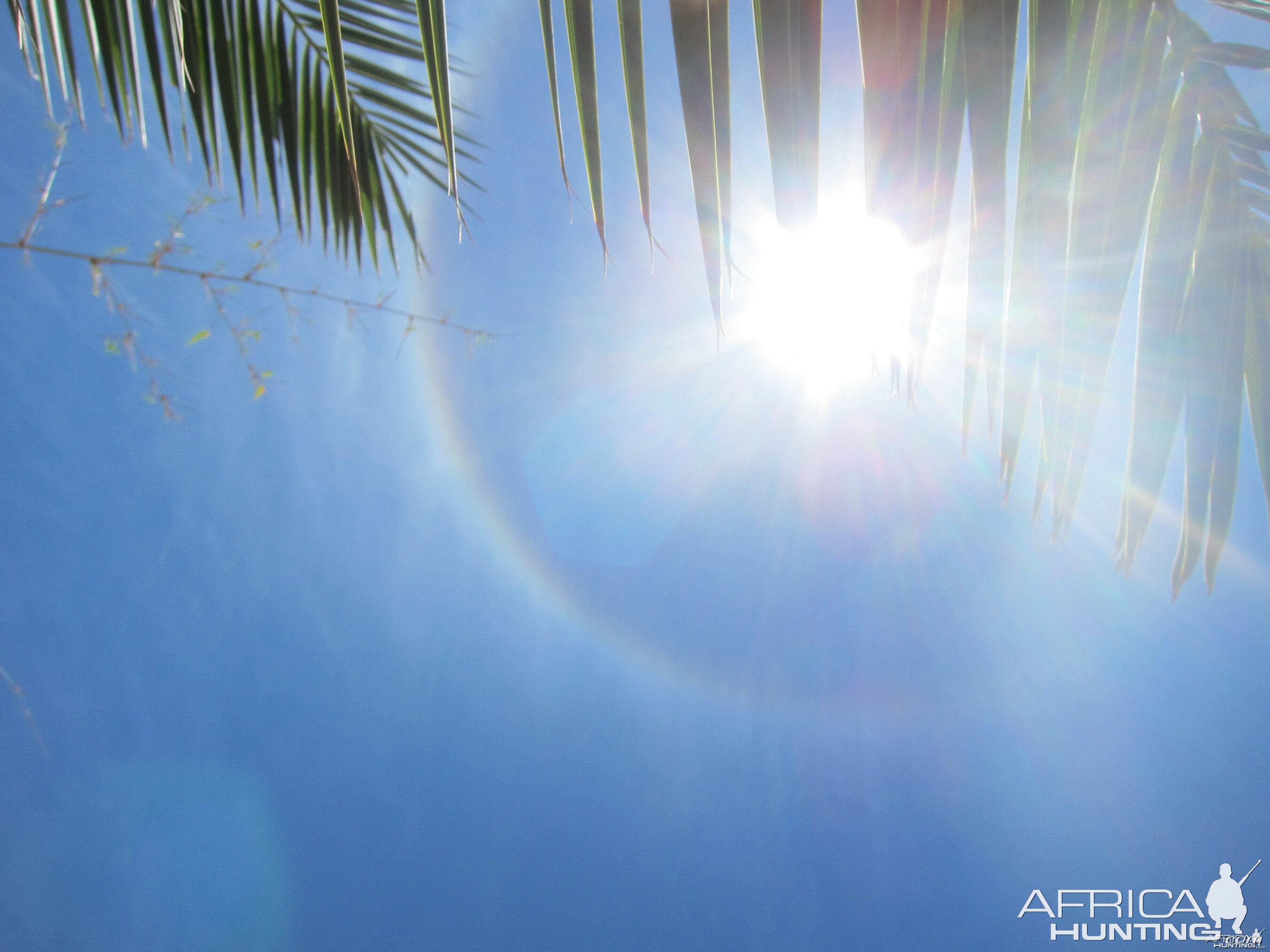 Sun Halo in Namibia