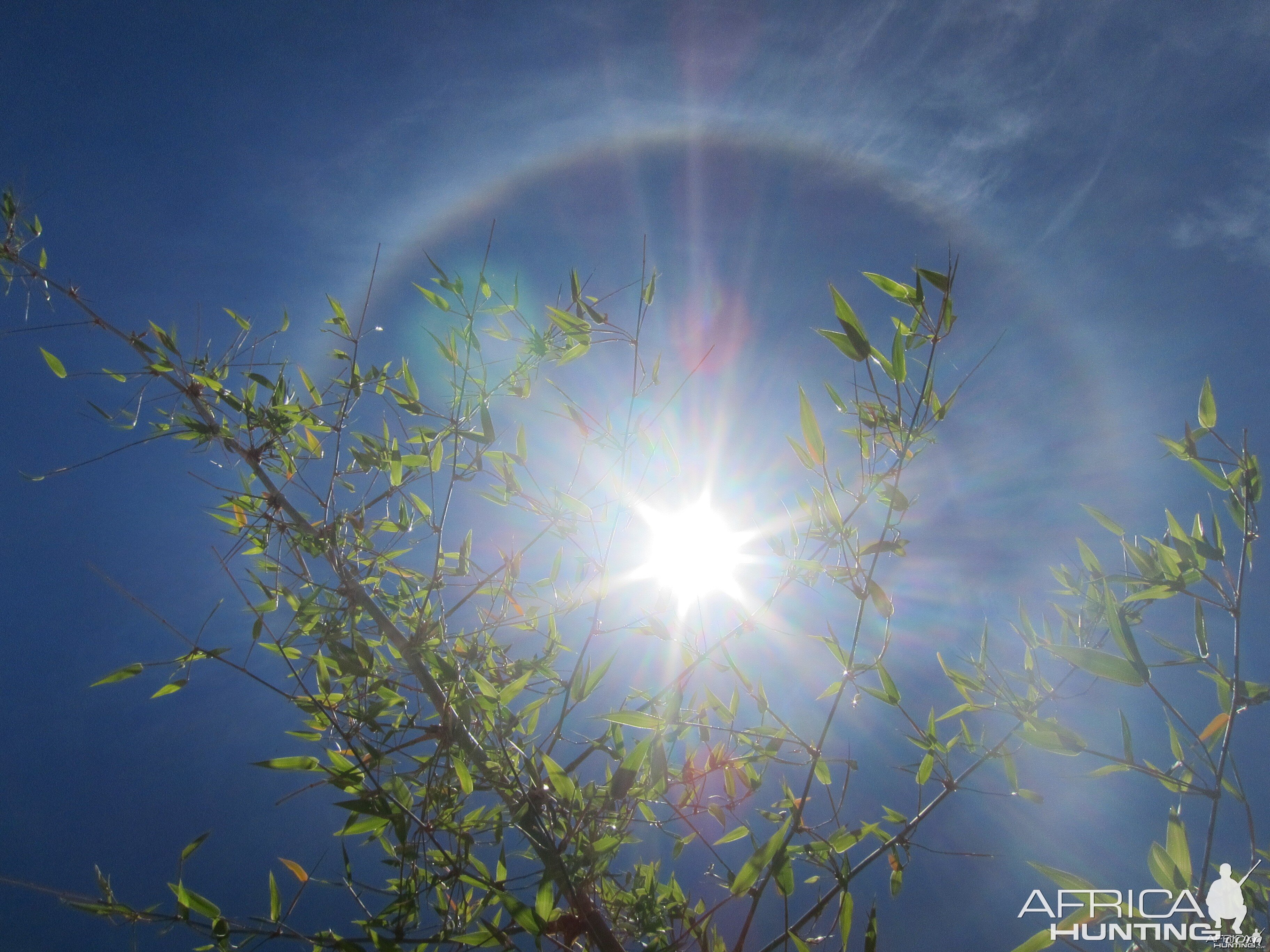 Sun Halo in Namibia