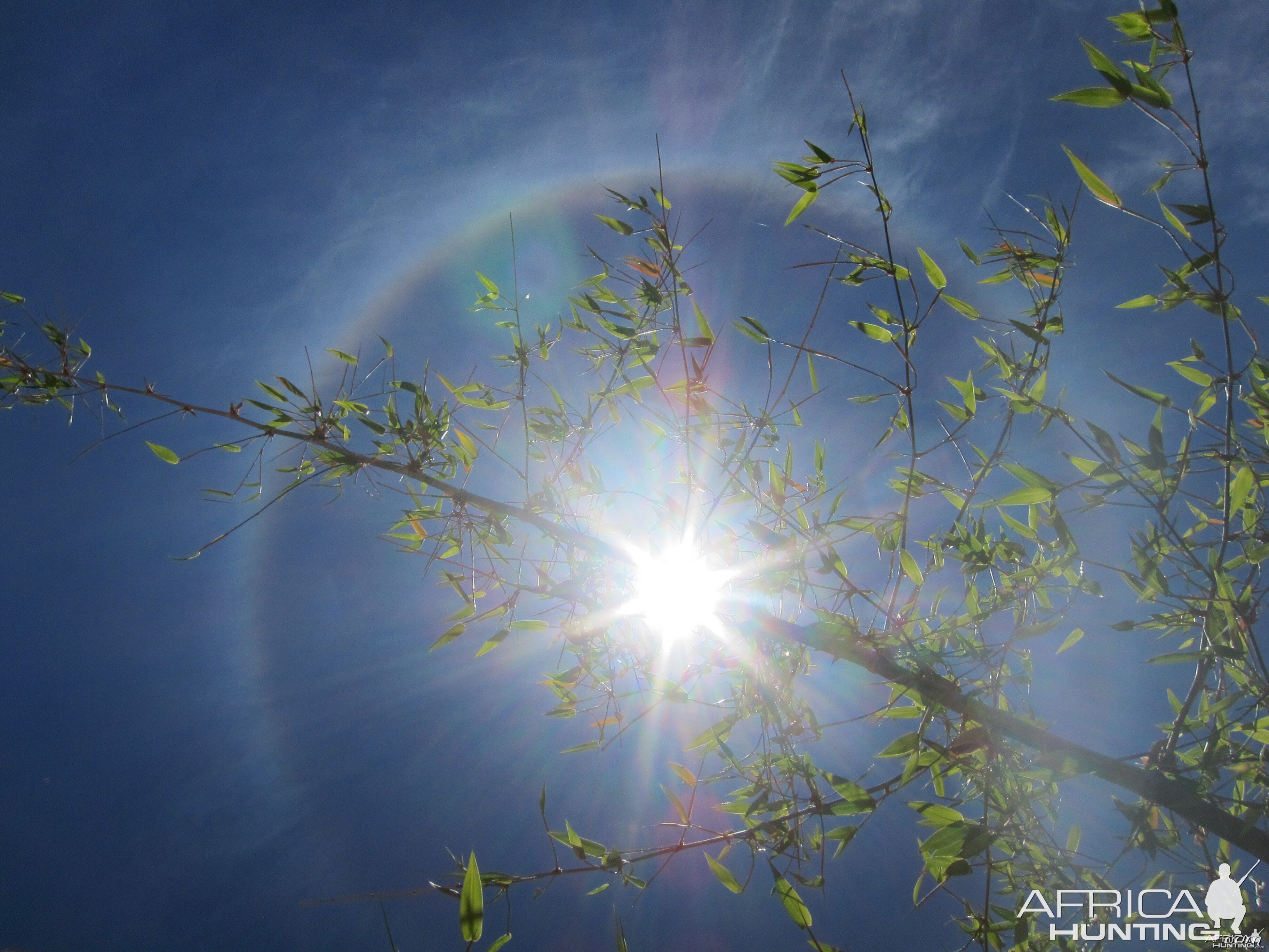 Sun Halo in Namibia