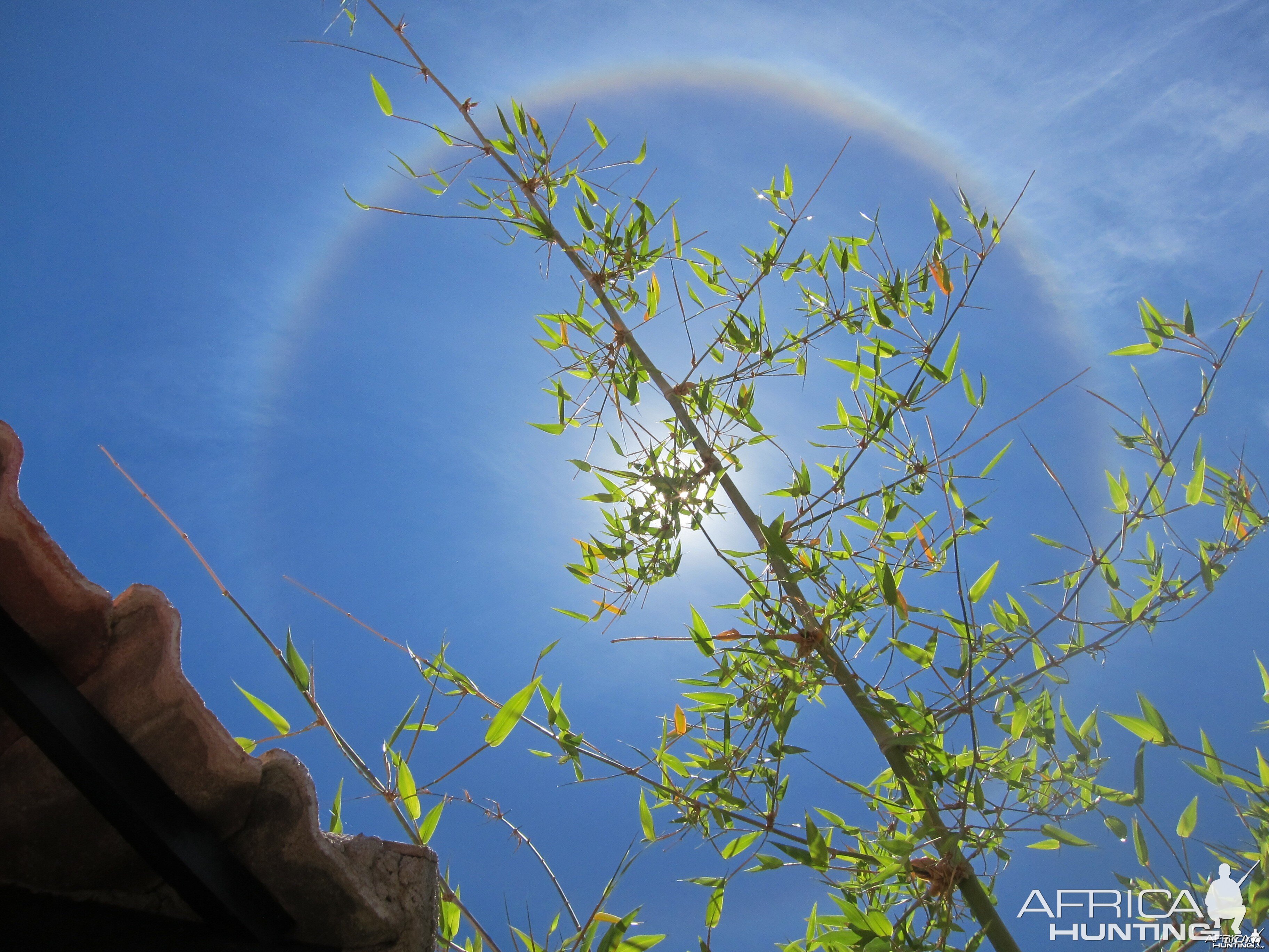 Sun Halo in Namibia