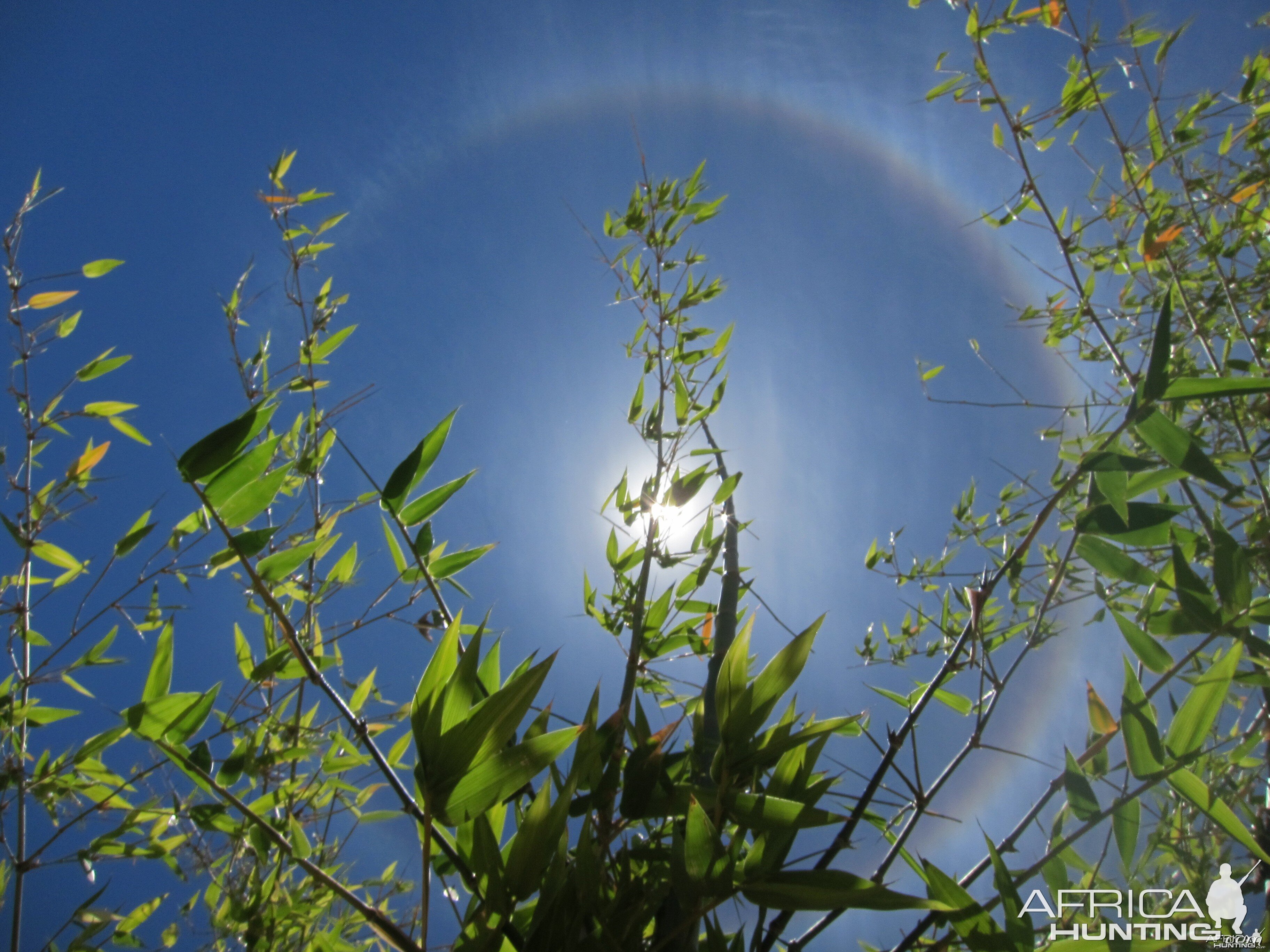 Sun Halo in Namibia