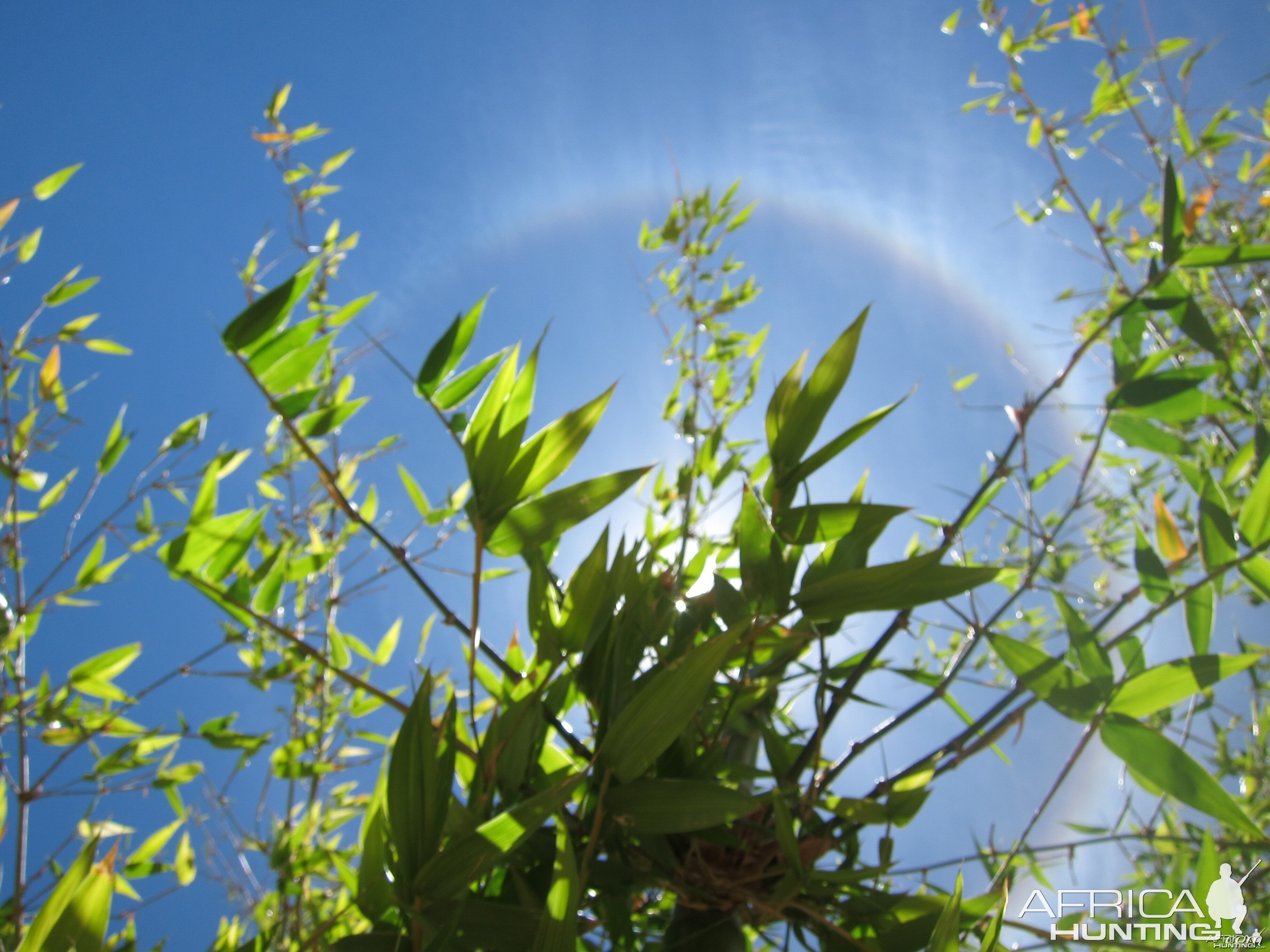 Sun Halo in Namibia