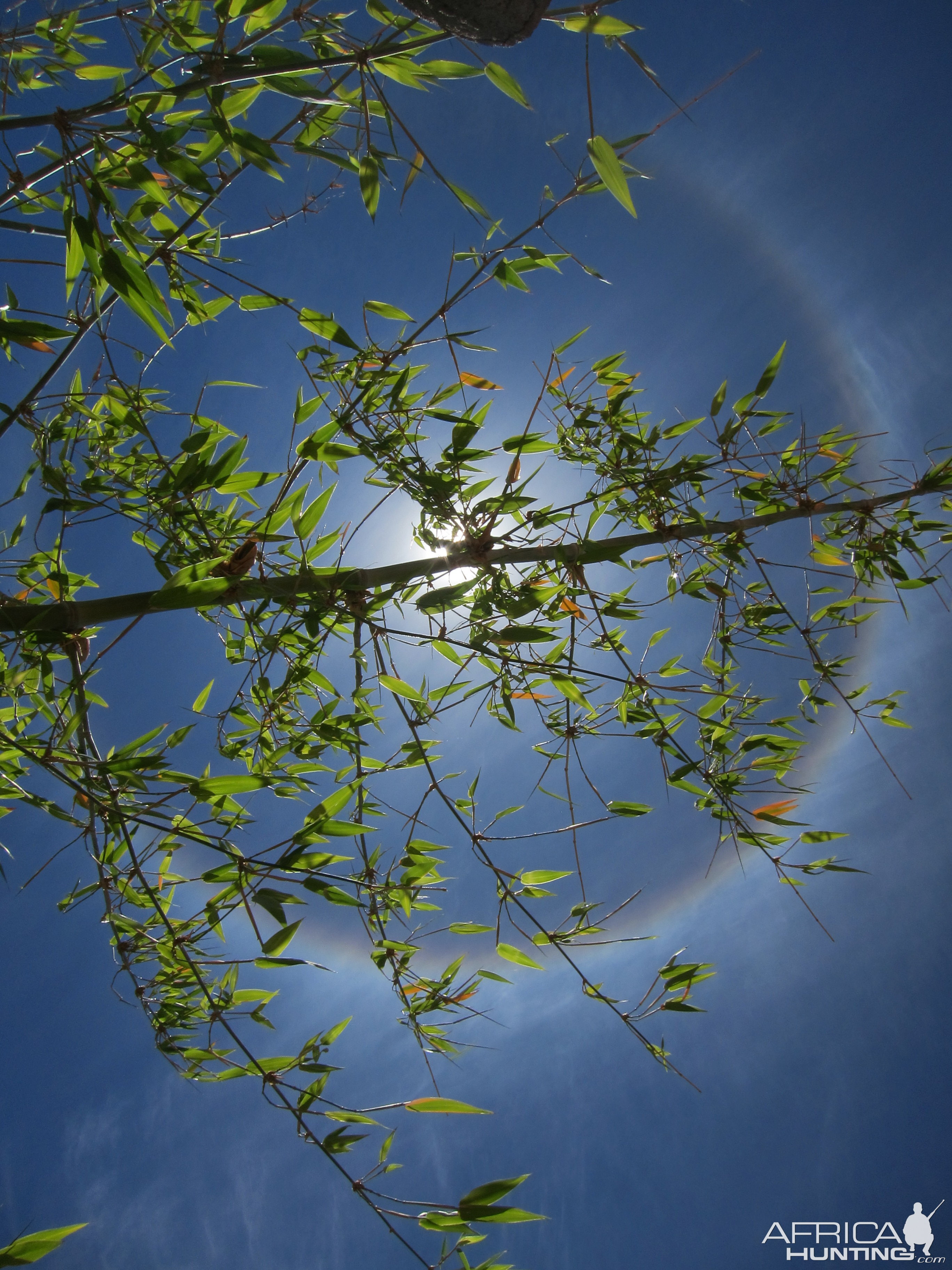 Sun Halo in Namibia