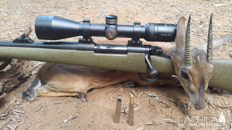 Suni Hunt Mozambique