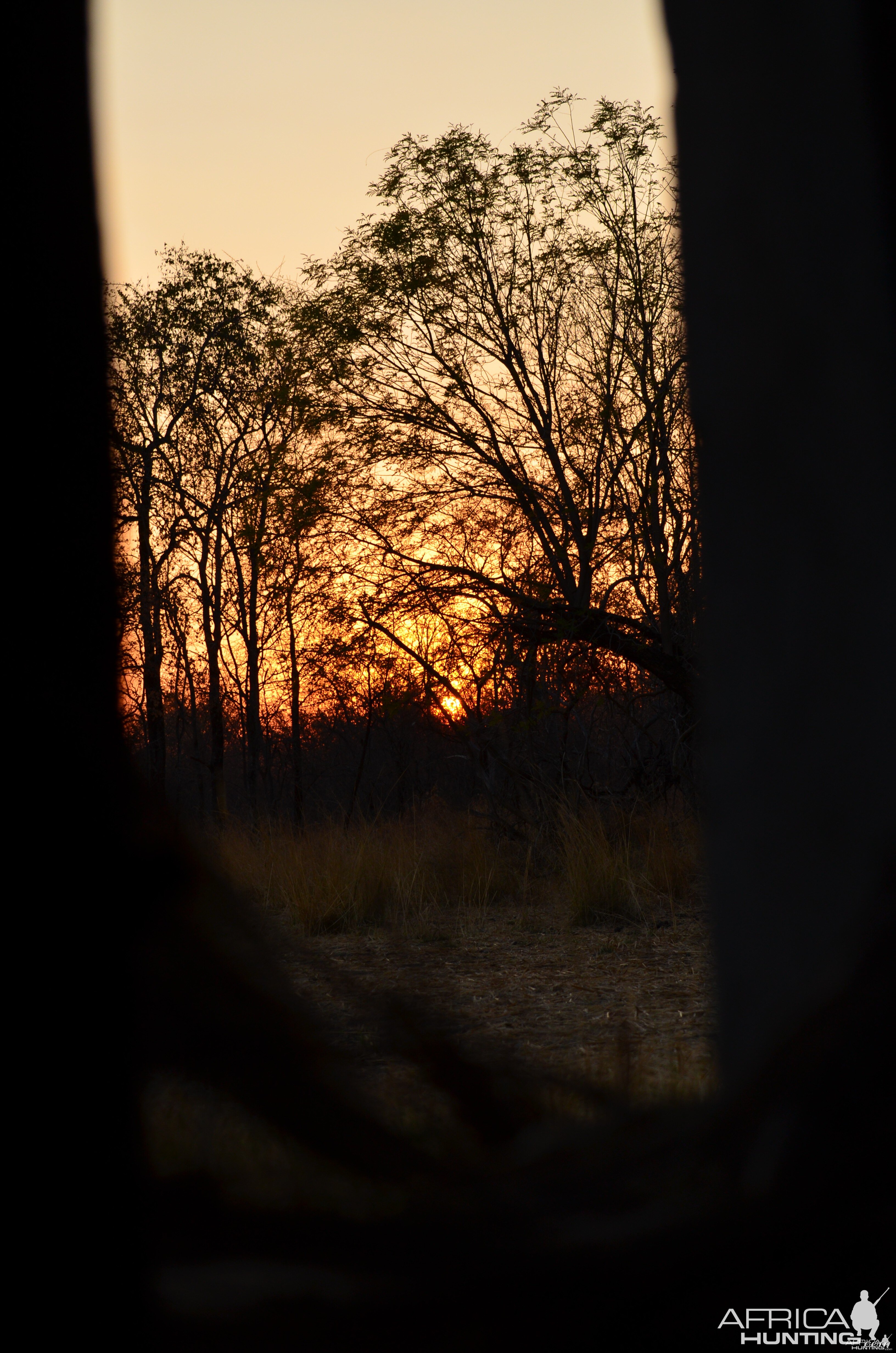 sunrise from the hide