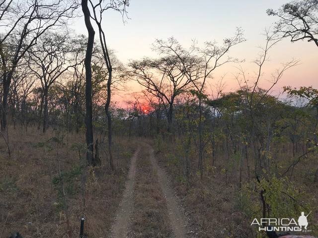 Sunrise in Tanzania