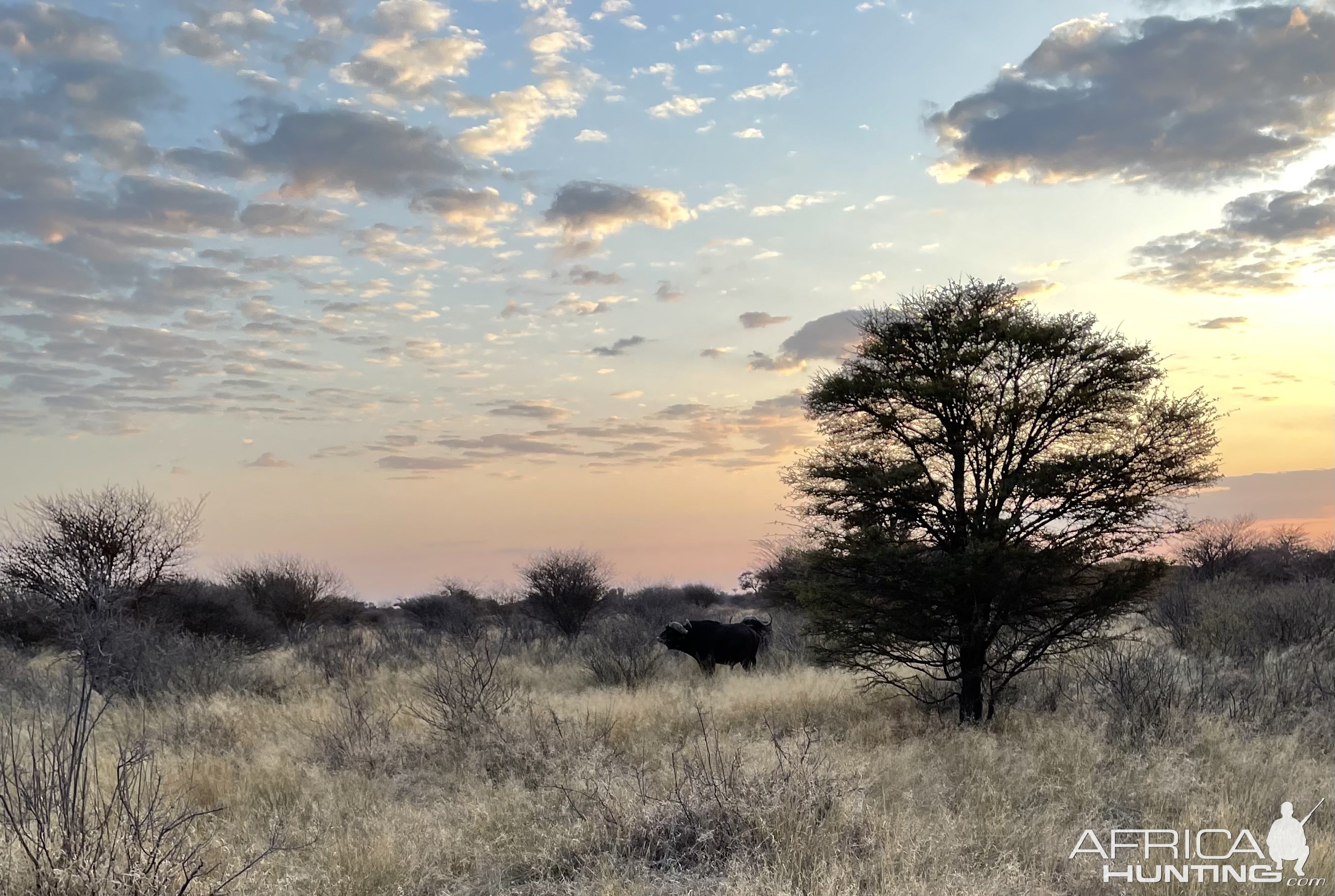 Sunrise Kalahari South Africa