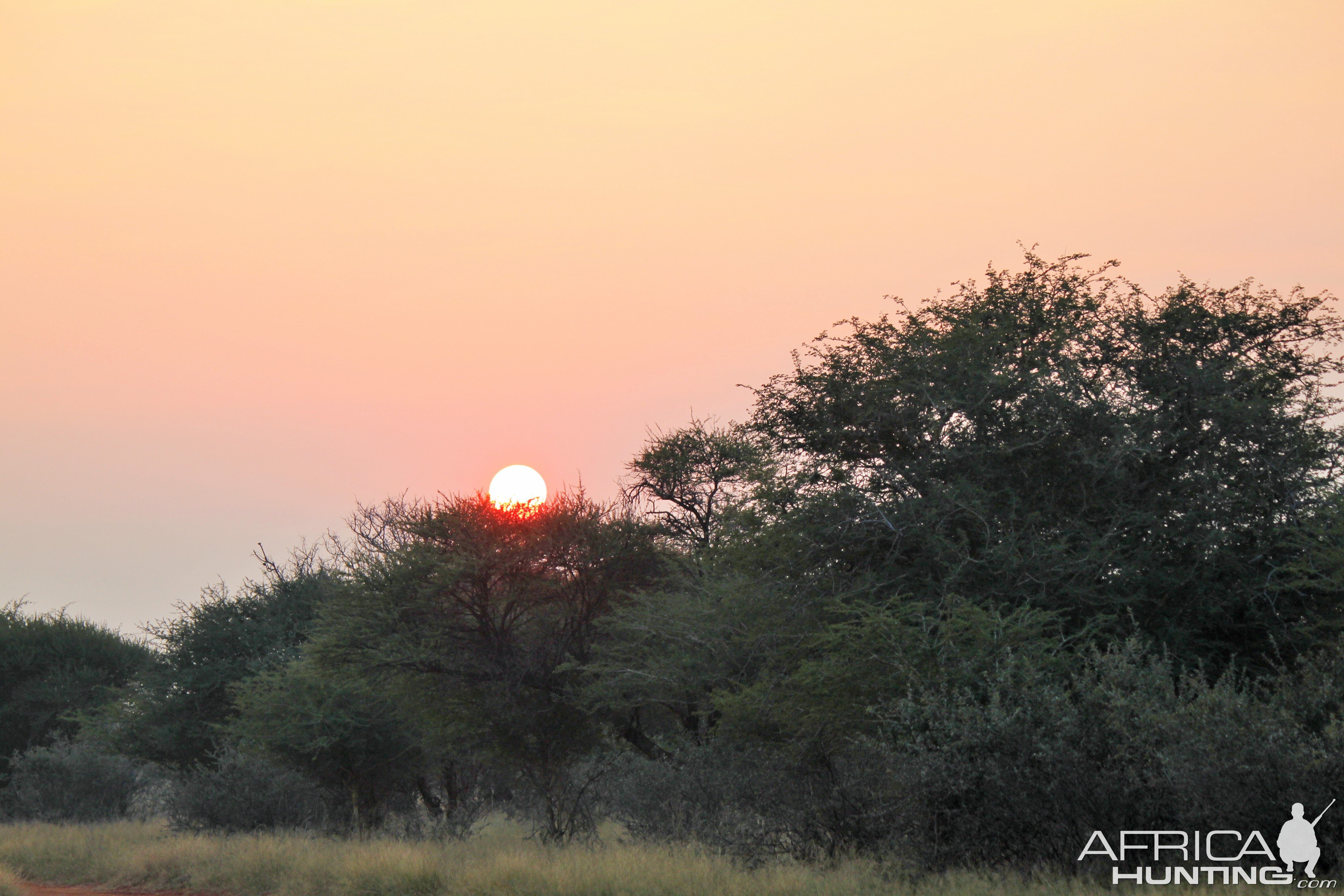 Sunrise on African Safari