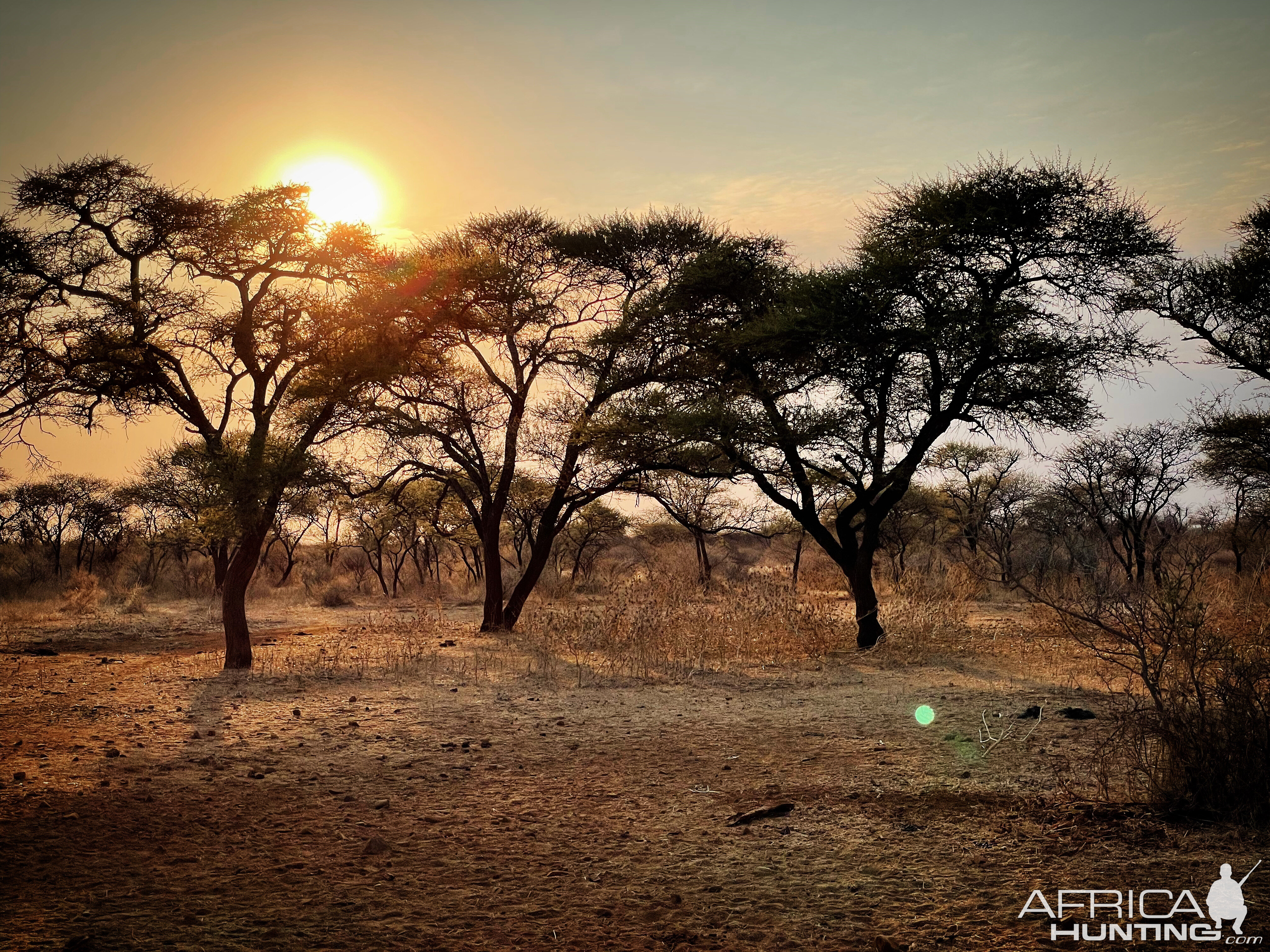 Sunrise South Africa