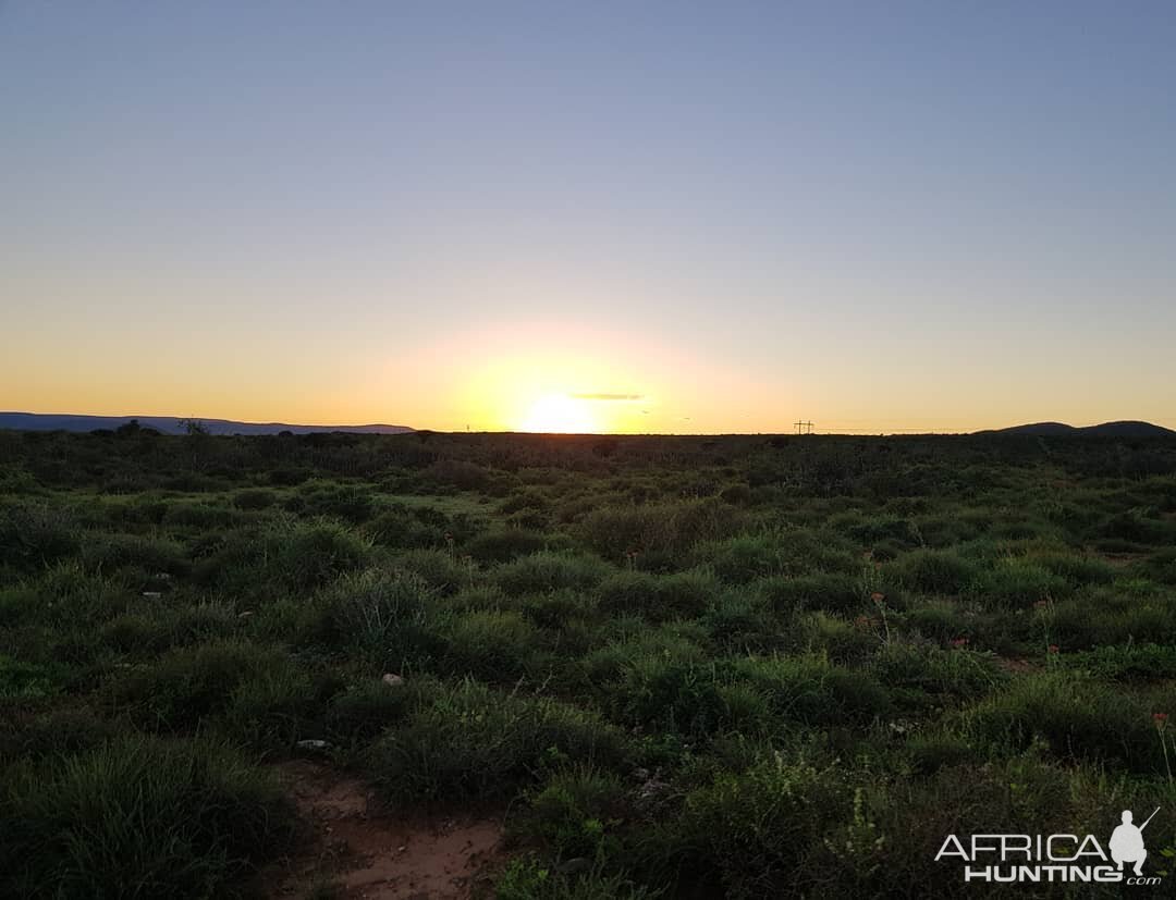 Sunrise South Africa