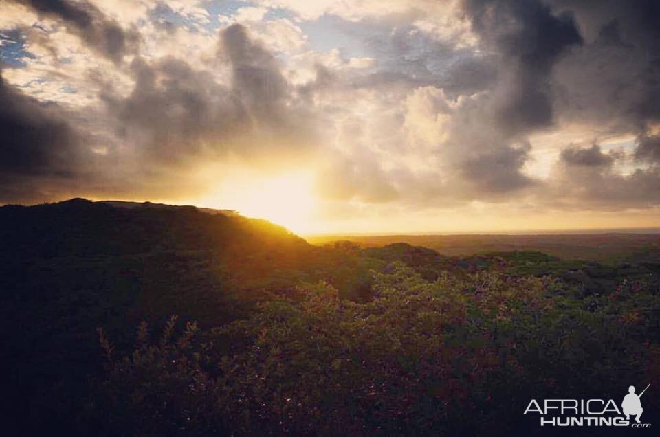 Sunset after a good rain