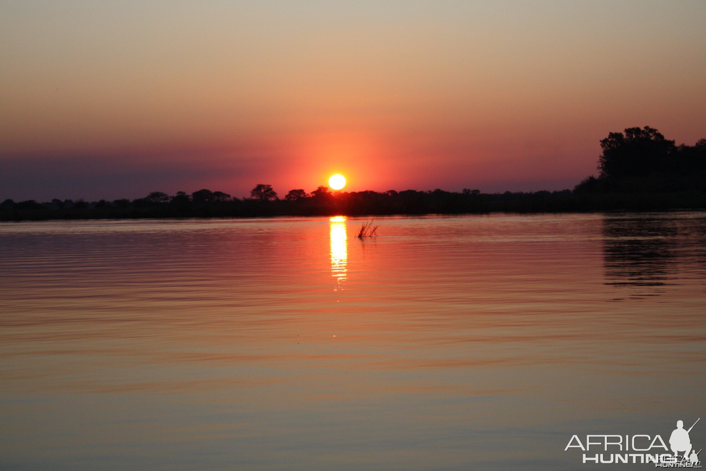 Sunset Chobe