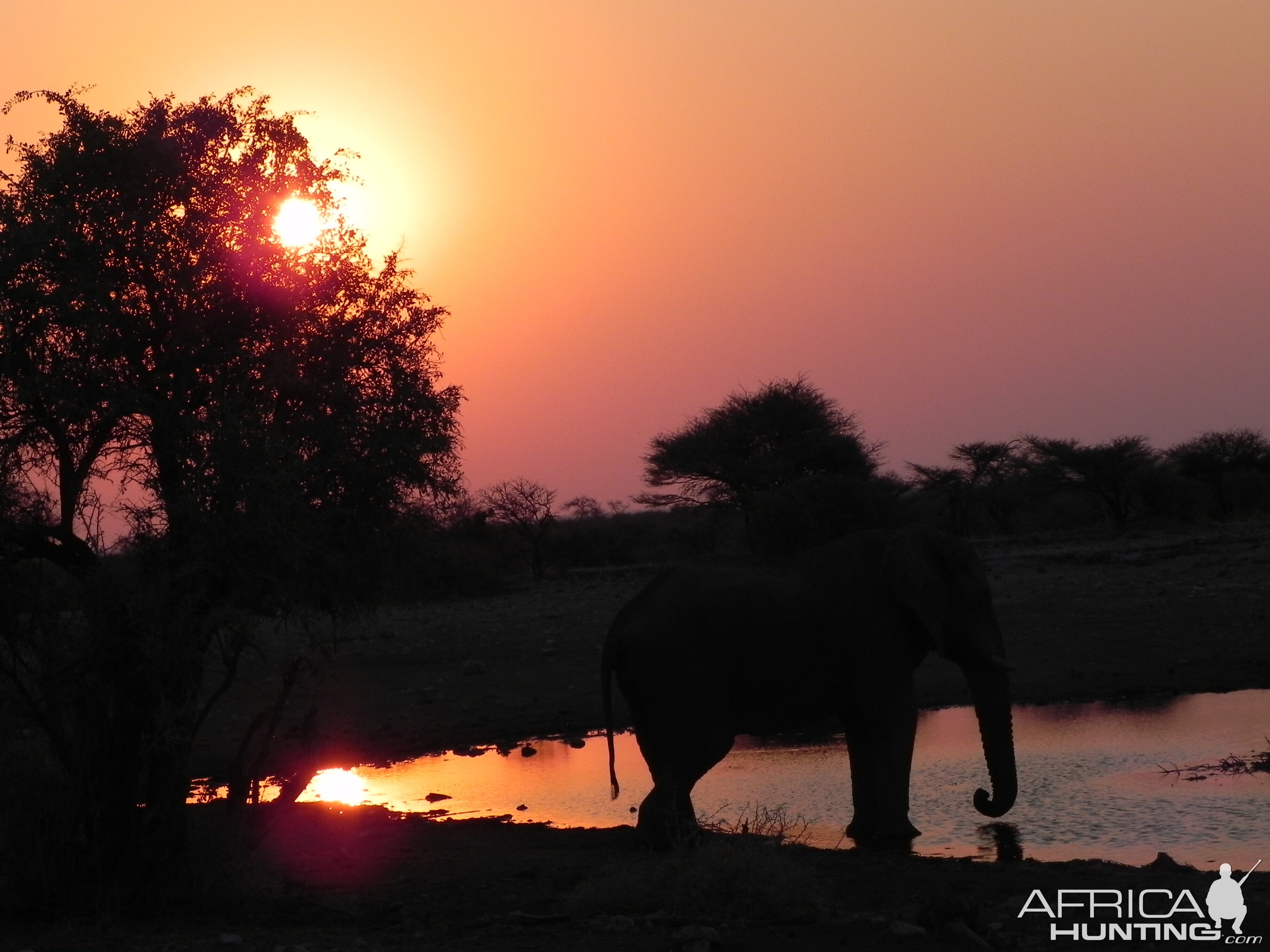 Sunset Etosha Namibia