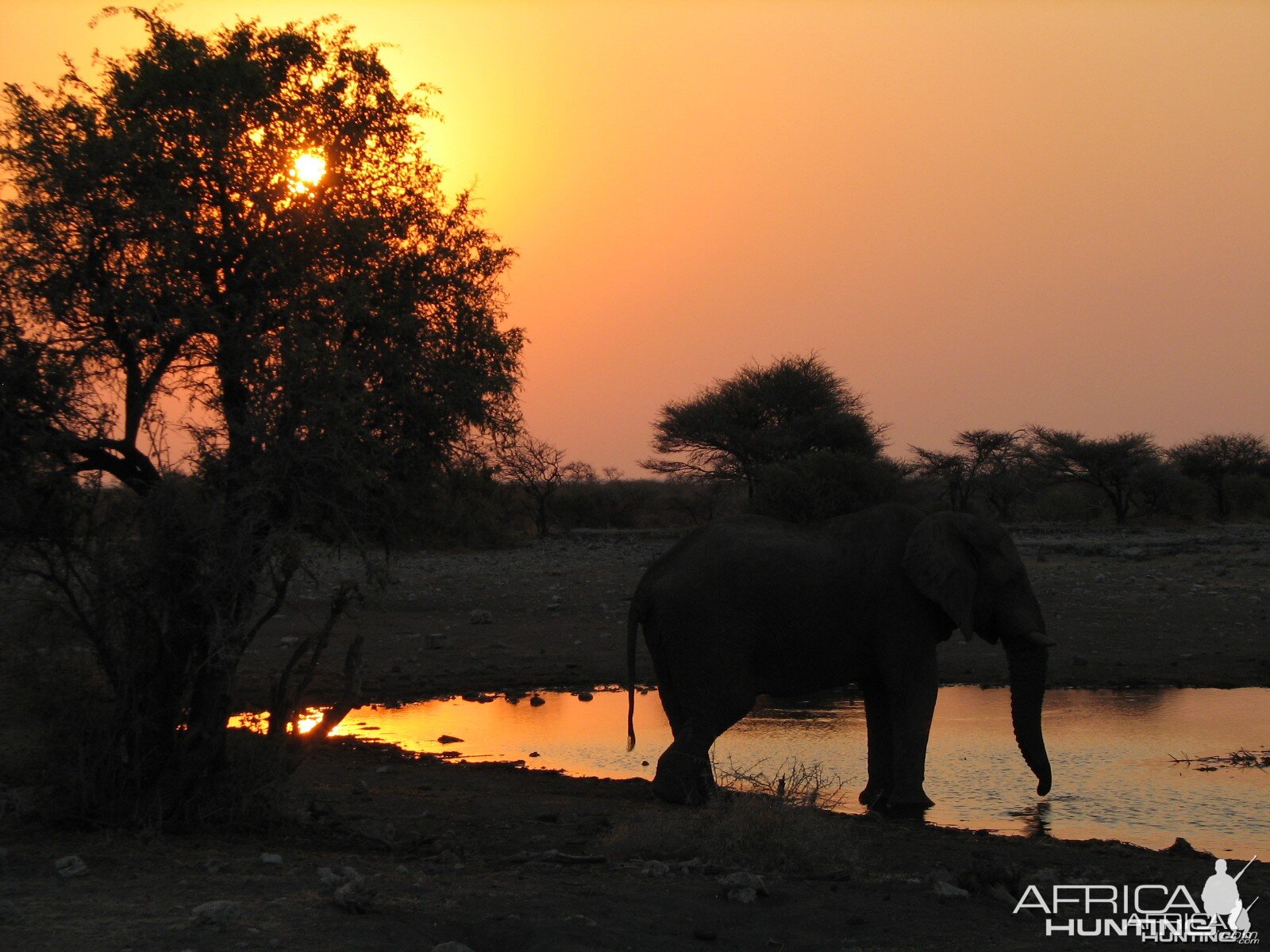 Sunset Etosha Namibia