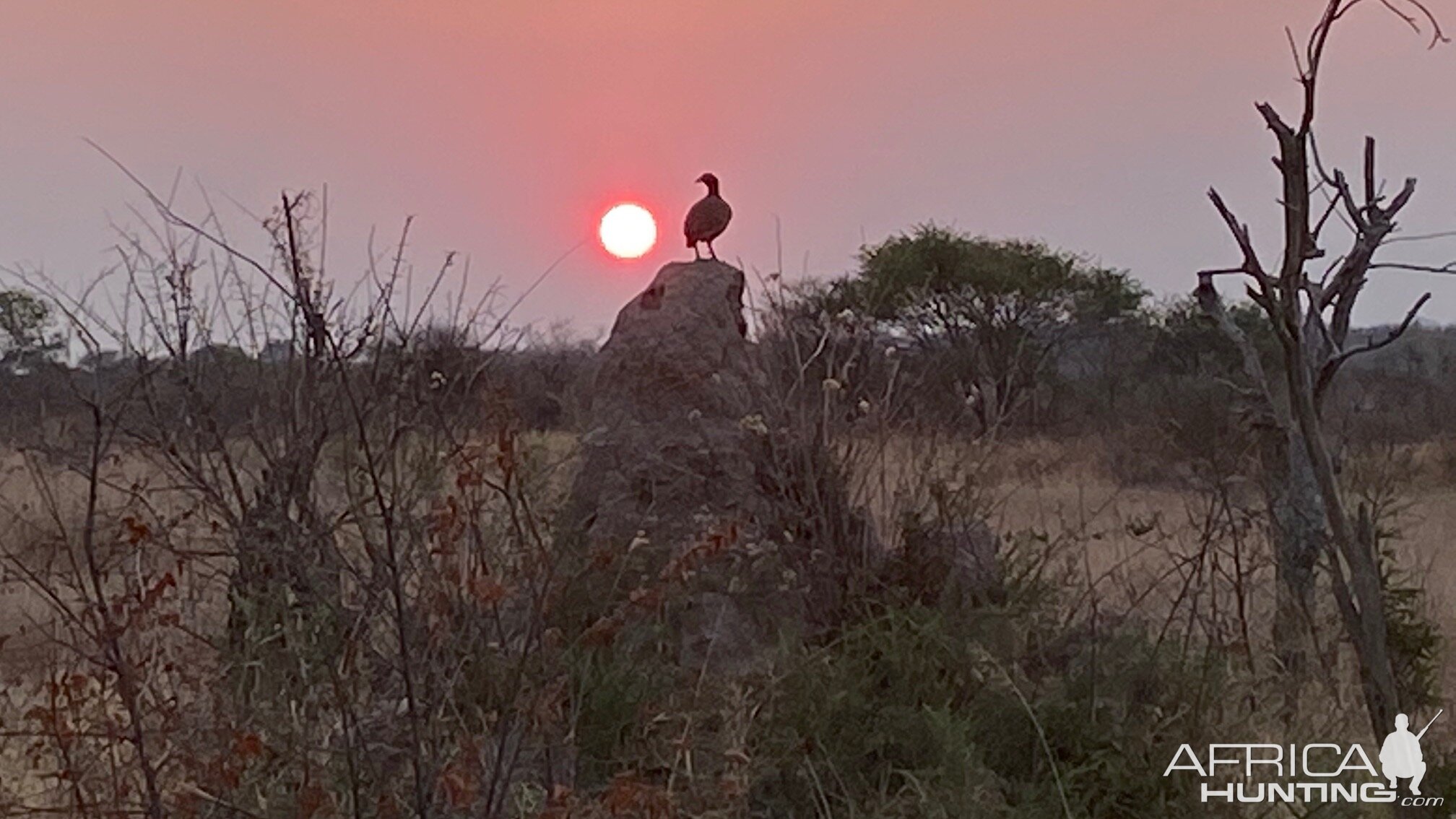 Sunset in Namibia