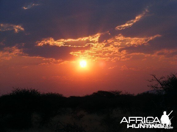 Sunset in the Bush